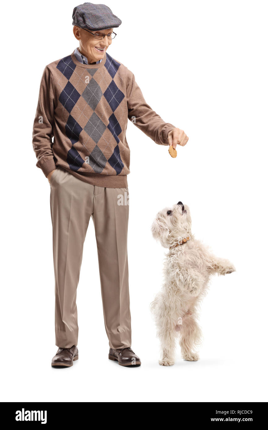 Portrait of a senior man giving a traiter à un peu de blanc chien debout sur ses pattes arrière isolé sur fond blanc Banque D'Images