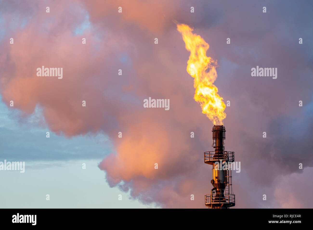 Situation de l'acier Duisburg Hamborn, cokerie Schwelgern ThyssenKrupp Steel, flare, chalumeau gaz inutilisés hors Banque D'Images