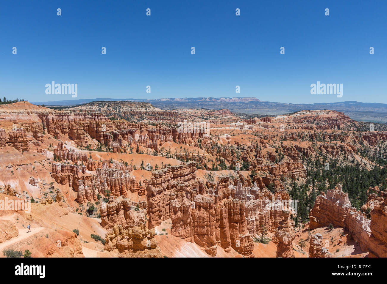 Bryce Canyon National Park, Utah, USA Banque D'Images