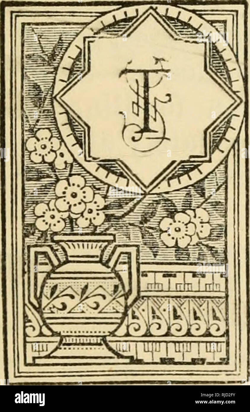 . "Centaur" : ou le "s", un traité sur les pratiques sans cruauté (gestion) de chevaux, que ce soit dans le faisceau, selle, ou stable ; avec des notes concernant le faisceau-prix, remise, &amp;c. Les chevaux, l'équitation. Thb, ou Tourner Ottt, 147 spectacles de chevaux, et MAT-DAT CÉLÉBRATIONS. 'Twas morn-a plus favorables ; l'un de l'Orient, le Golden Sun est sorti sa race dorée de fonctionner ; à travers les nuages de la plupart des reflets magnifiques, les nuages qui dernièrement a dormi dans l'ombre, mais semblent maintenant avait fait de l'or brocade, avec de magnifiques franges d'or : En bref 'Twas l'golden day, par mortels Banque D'Images