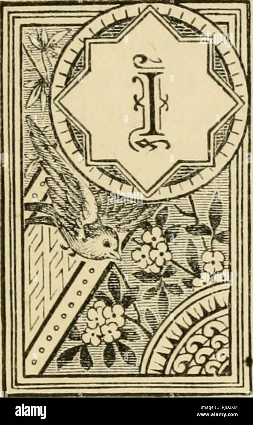 . "Centaur" : ou le "s", un traité sur les pratiques sans cruauté (gestion) de chevaux, que ce soit dans le faisceau, selle, ou stable ; avec des notes concernant le faisceau-prix, remise, &amp;c. Les chevaux, l'équitation. Ou, le nombre de participants. 21 REMARQUES PRÉLIMINAIRES.. " La connaissance est l'aile, &amp;c.*' N cette poussant et rendez-a-head age l'ambition d'avoir un ''turn out'* est très grand, et, lorsque c'est atteint, les fréquentes pleurer le mal est absence de système et méthode, et plus particulièrement, genre- ness et la patience, dans le soin et traitement de la principale qui le composent, à savoir Banque D'Images