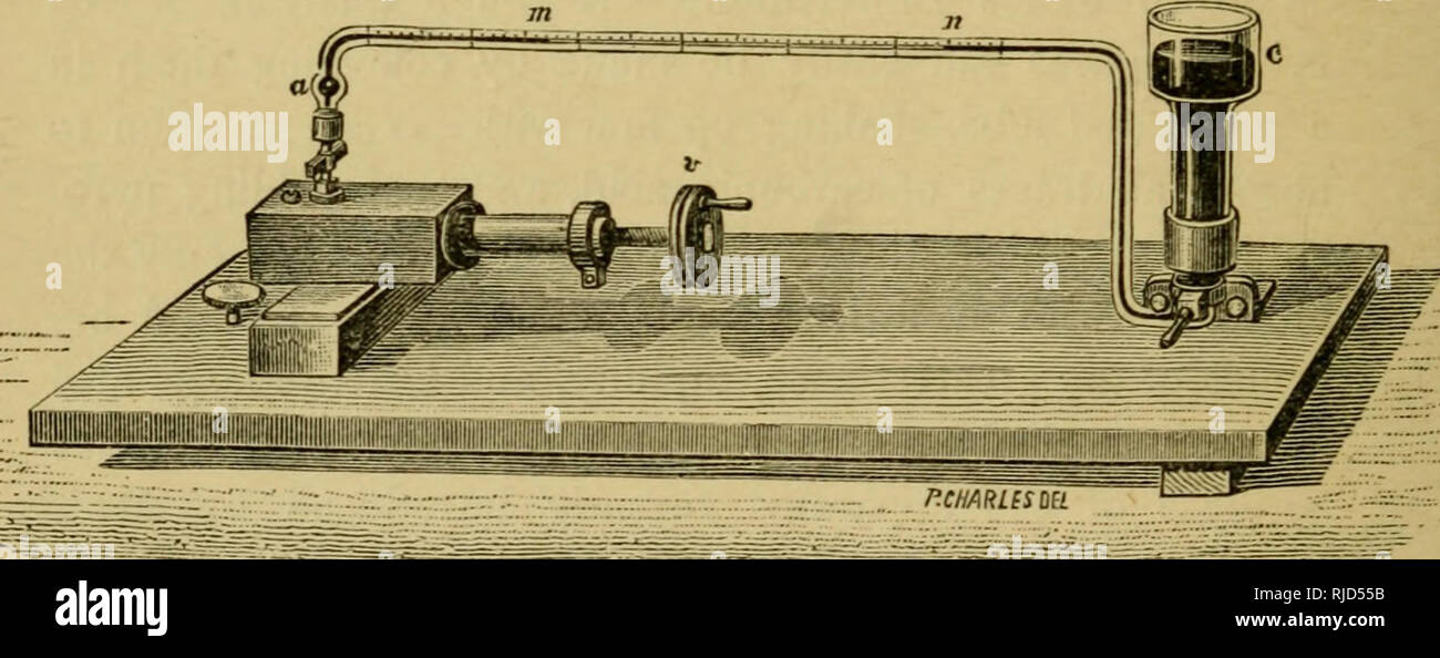 . Chapitres de la botanique moderne. Les plantes ; physiologie végétale. i66 Chapitres de botanique moderne de l'eau, ceux qui ont été riches en amidon assumer la couleur bleue caractéristique. De ce test pour l'amidon, nous pouvons faire beaucoup d'autres utilisations ; en cultivant des plantes dans l'obscurité, ou dans une atmosphère sans gaz carbonique, nous pouvons montrer que l'amidon n'est pas formé dans les feuilles à moins qu'ils sont verts, sauf s'ils sont illuminés, à moins qu'elles se développent dans un milieu où l'acide carbonique gaz est disponible. Les feuilles sont capables de fabriquer de nombreuses autres substances organiques en plus de l'amidon, et leur présence est également bien sûr demo Banque D'Images