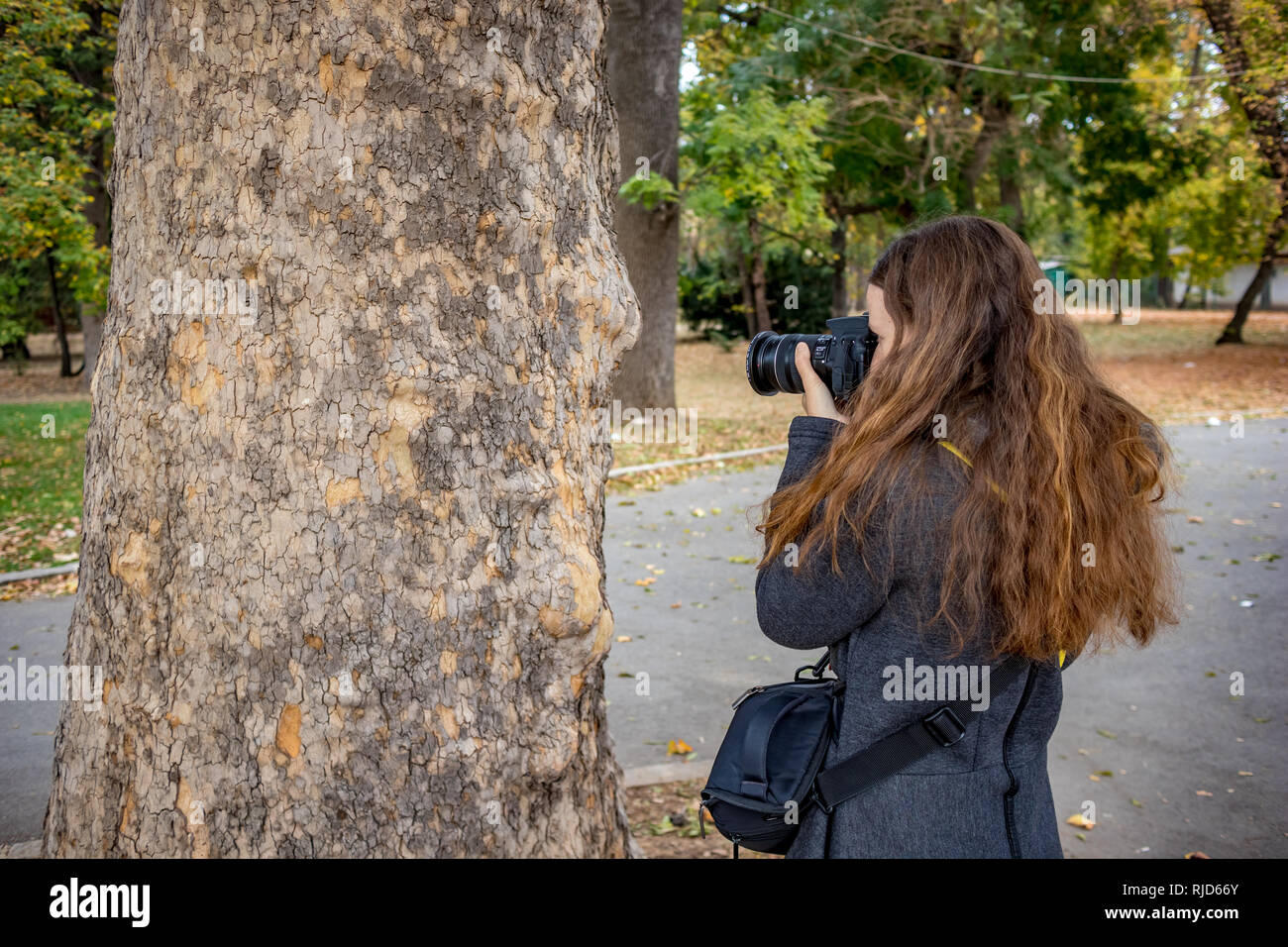 SOFIA, BULGARIE - 14 octobre 2018 : Belle femme photographe prend des photographies en gros plan, de Maple Tree Trunk, partie centrale de la capitale bulgare. Après-midi d'automne nuageux Moody. Objectif a CPL filtre Hoya Banque D'Images