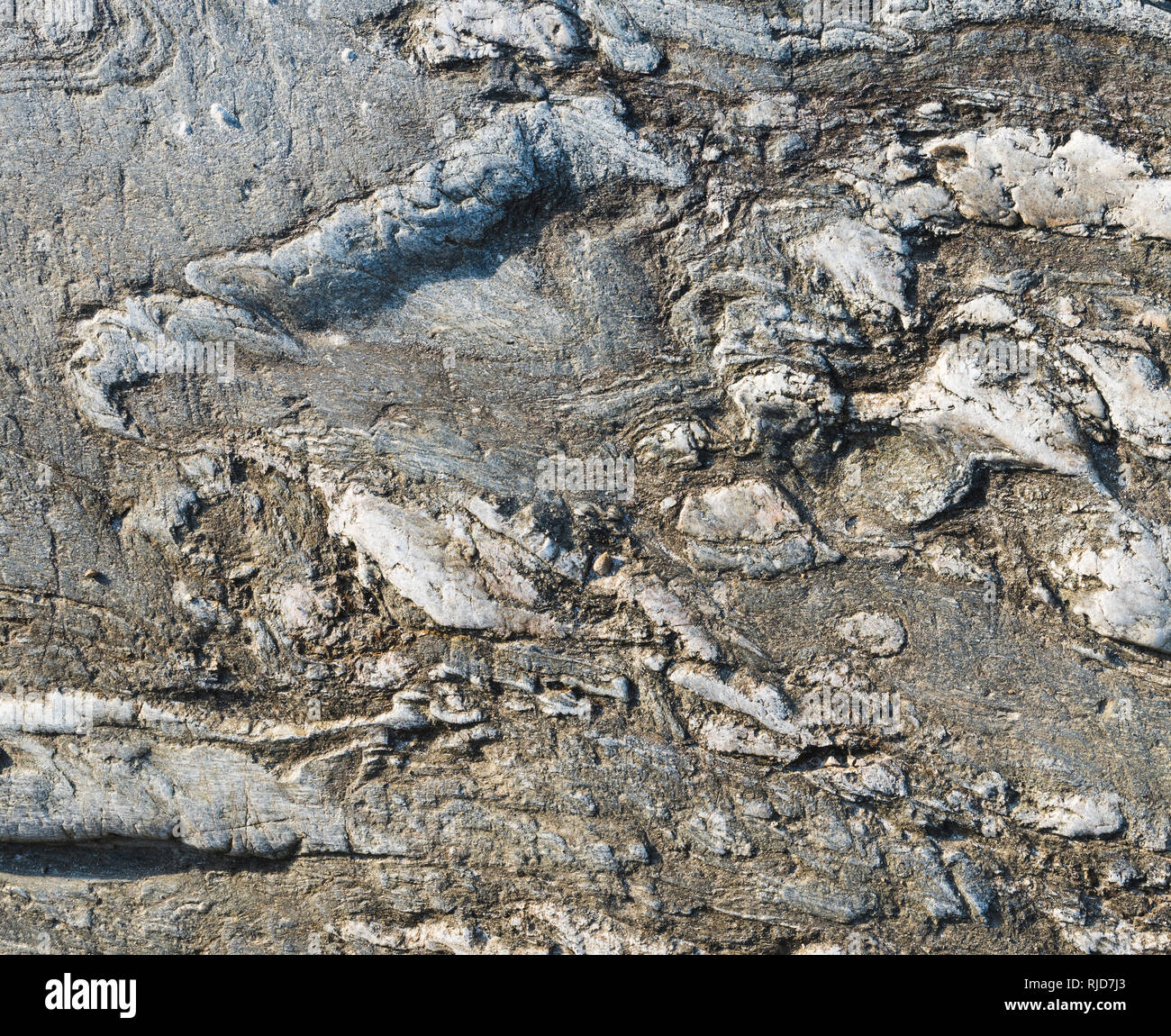 Les roches de gneiss métamorphique très déformés montrant près de Clifden, Connemara, comté de Galway, Irlande Banque D'Images