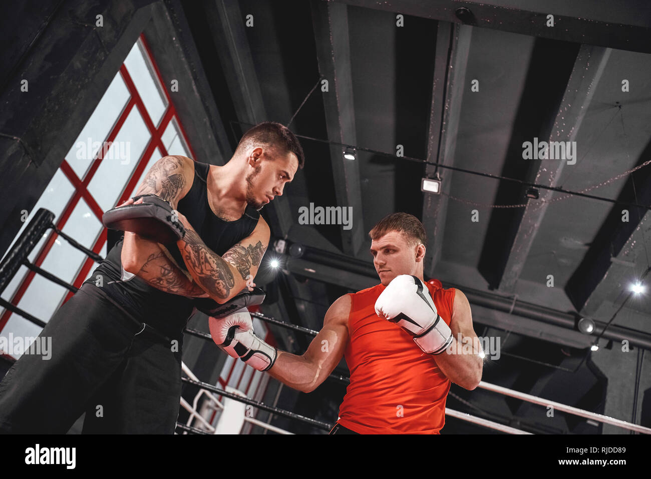 Beau jeune sportsman dans boxing gloves punching uppercut. Formation sur la boxe boxeur musculaire avec pattes en partenaire de sport boxe noir Banque D'Images