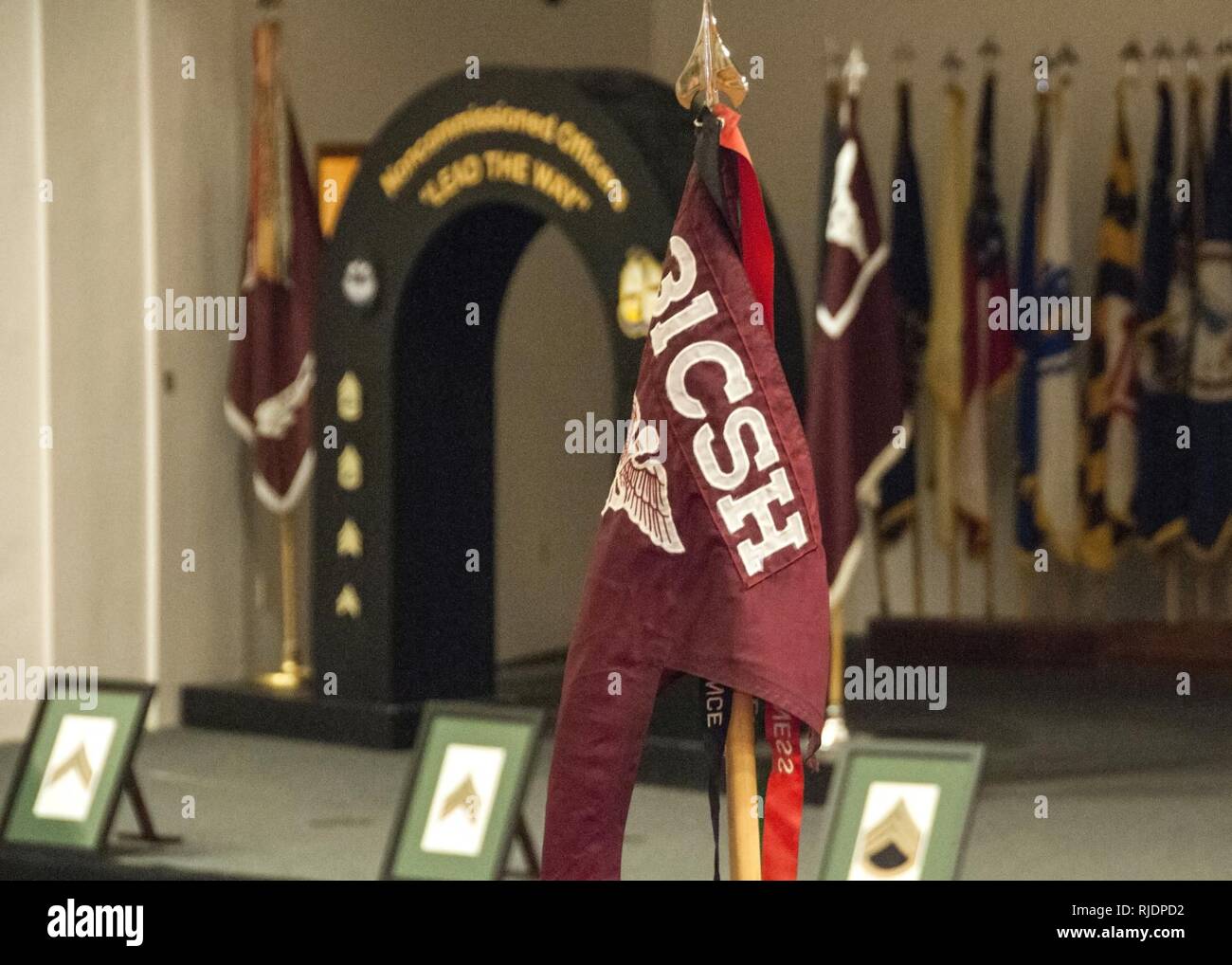 Le 31e Hôpital de soutien au combat, les couleurs sont affichés devant une arche utilisée pour accueillir les nouveaux intronisés sous-officiers de l'Armée américaine du corps des sous-officiers au cours d'une cérémonie d'intronisation de sous-officiers à la Sage Hall, Fort Bliss, Texas, le 24 janvier. Plus de 50 sous-officiers appartenant à la 31e CSH et William Beaumont Army Medical Center ont été intronisé au sous-officiers. Banque D'Images