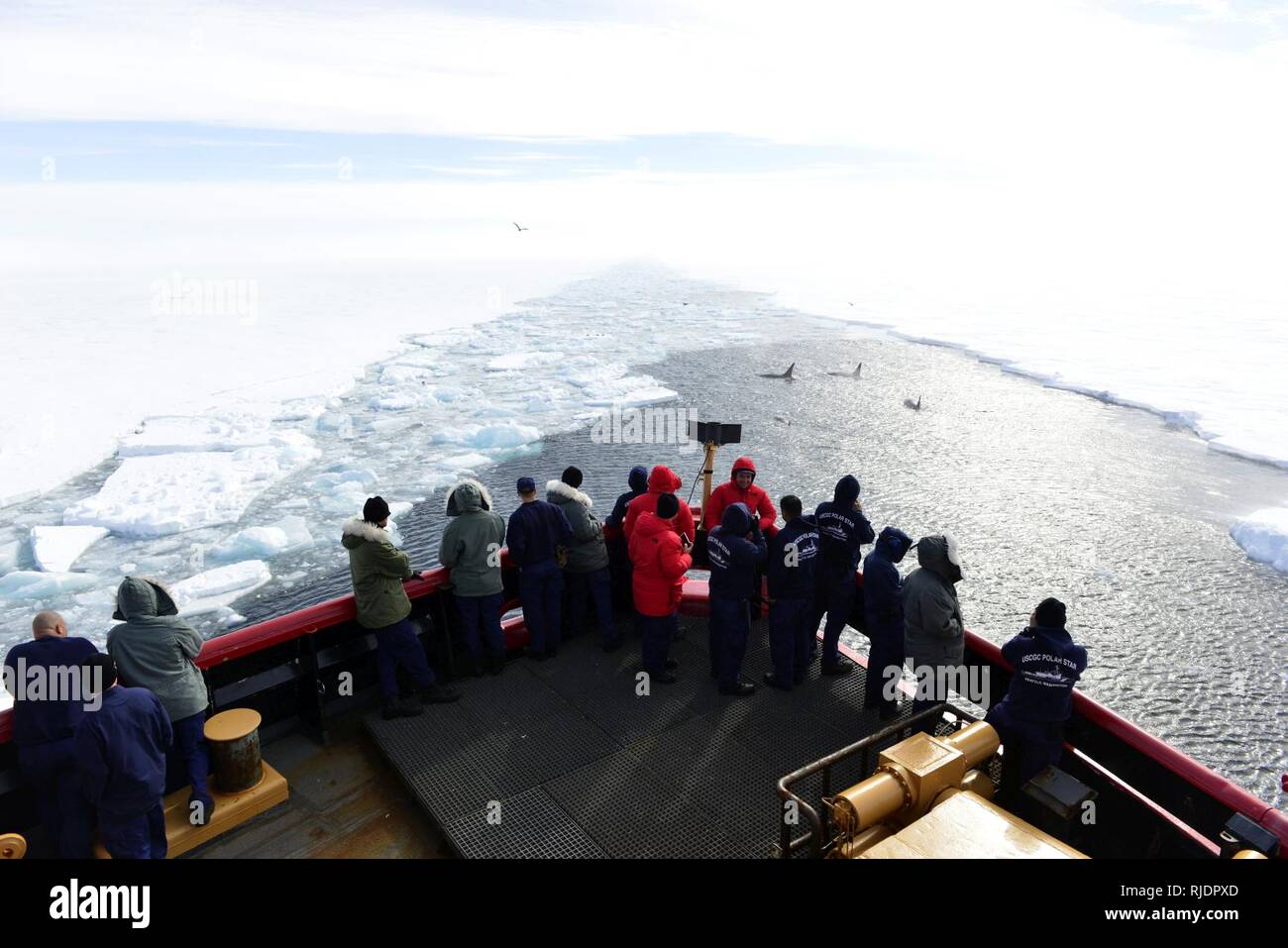 D'équipage à bord les garde-côte de Polar Star prendre une pause pour photographier un pod d'orques à McMurdo Sound près de l'Antarctique le jeudi 11 janvier, 2018. L'équipage de l'étoile polaire de Seattle est sur son chemin en Antarctique dans le cadre de l'opération Deep Freeze 2018, l'armée américaine à la contribution de la National Science Foundation des États-Unis à la gestion de programme de l'Antarctique. Banque D'Images