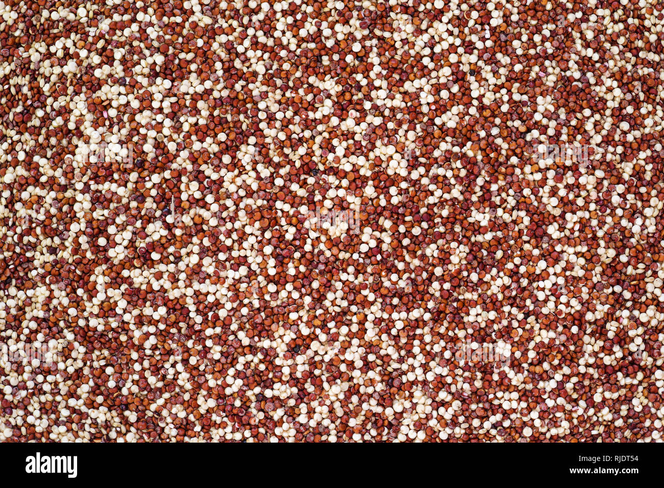 Arrière-plan de Brown et blanc céréales quinoa bio Banque D'Images