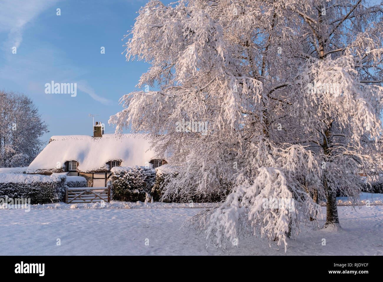 Village enneigé, la brandir, Hampshire, Royaume-Uni Banque D'Images