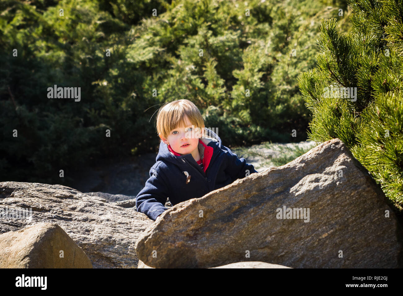 Adorable petit garçon jouant dehors sur des rochers Banque D'Images