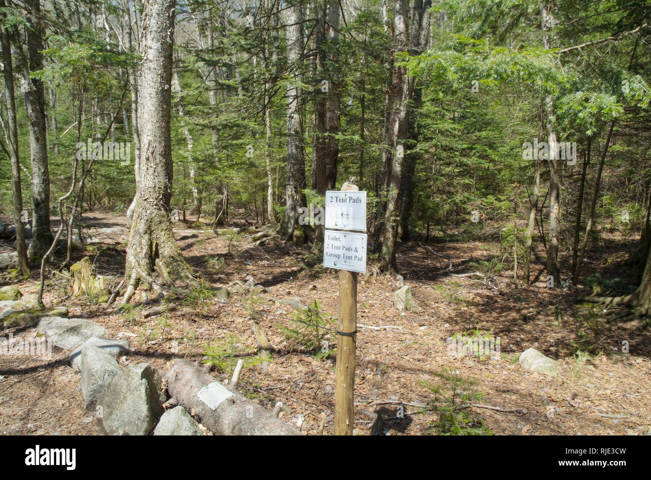 L'ancien Refuge d'Eliza Brook site le long de l'Appalachian Trail (Kinsman Ridge Trail), entre le mont Wolf et sud Kinsman, dans le New Hampshire. Banque D'Images