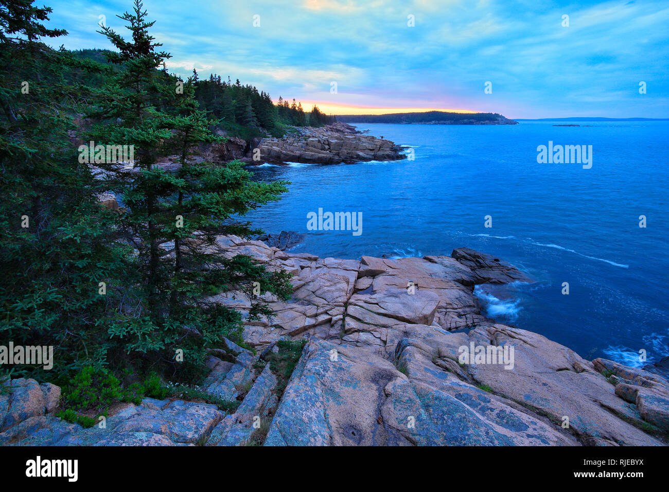 Le lever du soleil, le chemin de l'océan, l'Acadia National Park, Maine, USA Banque D'Images