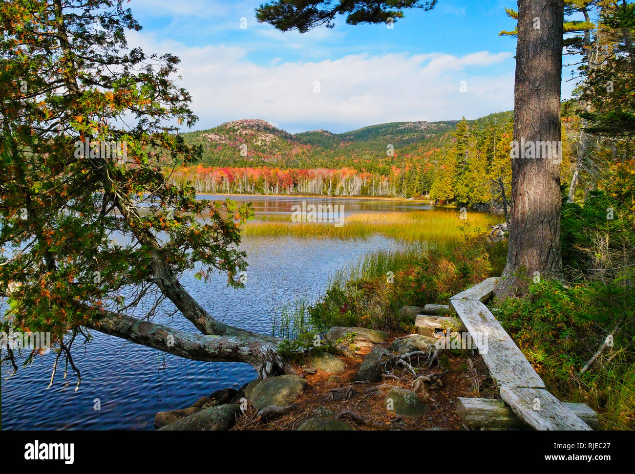 Le sentier de l'étang supérieur, Hadlock Hadlock étang, l'Acadia National Park, Maine, USA Banque D'Images