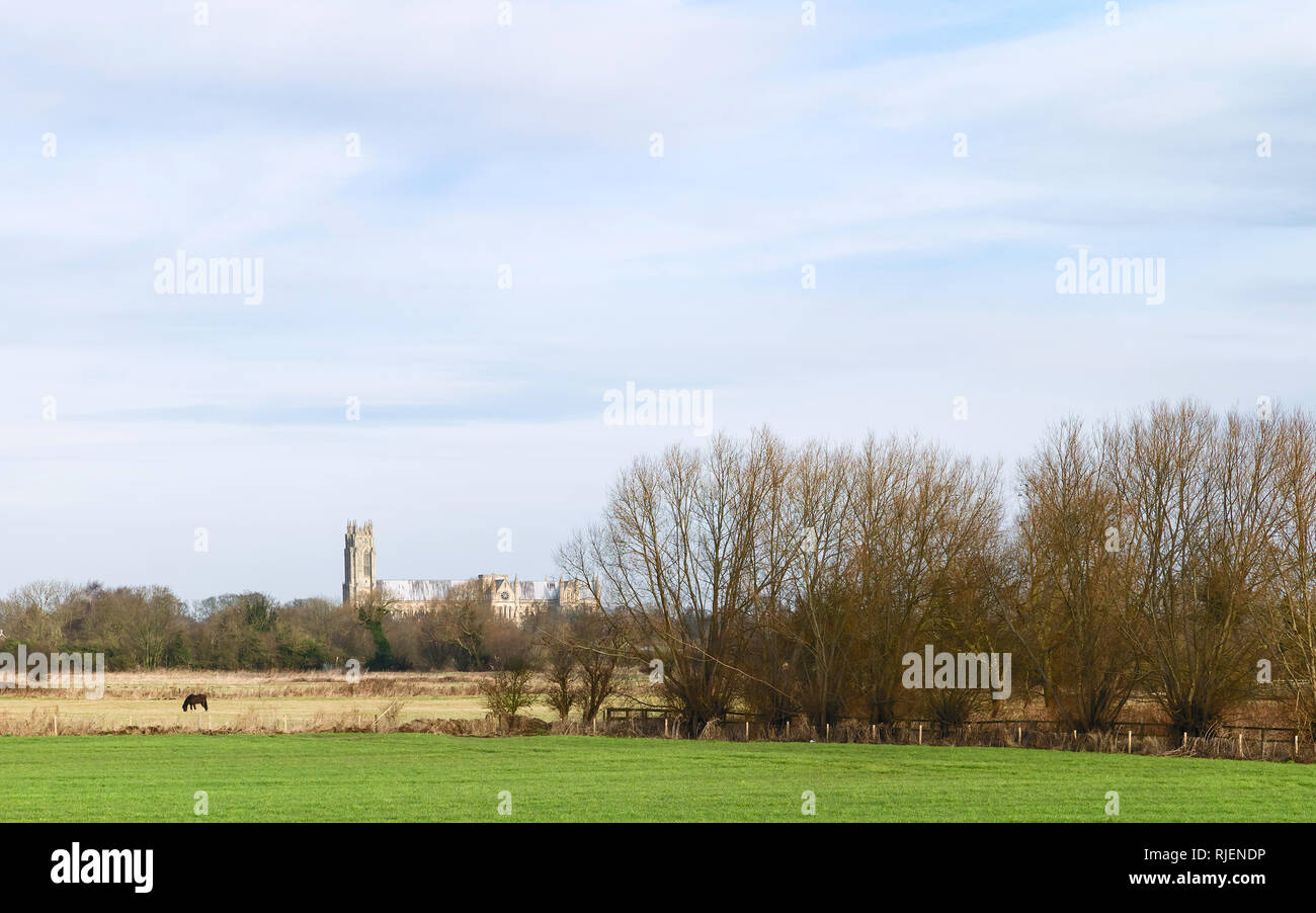 L'ancien ministre (église), vue de l'ensemble du paysage agricole avec des arbres sur l'hiver lumineux matin à Beverley, Yorkshire, UK. Banque D'Images