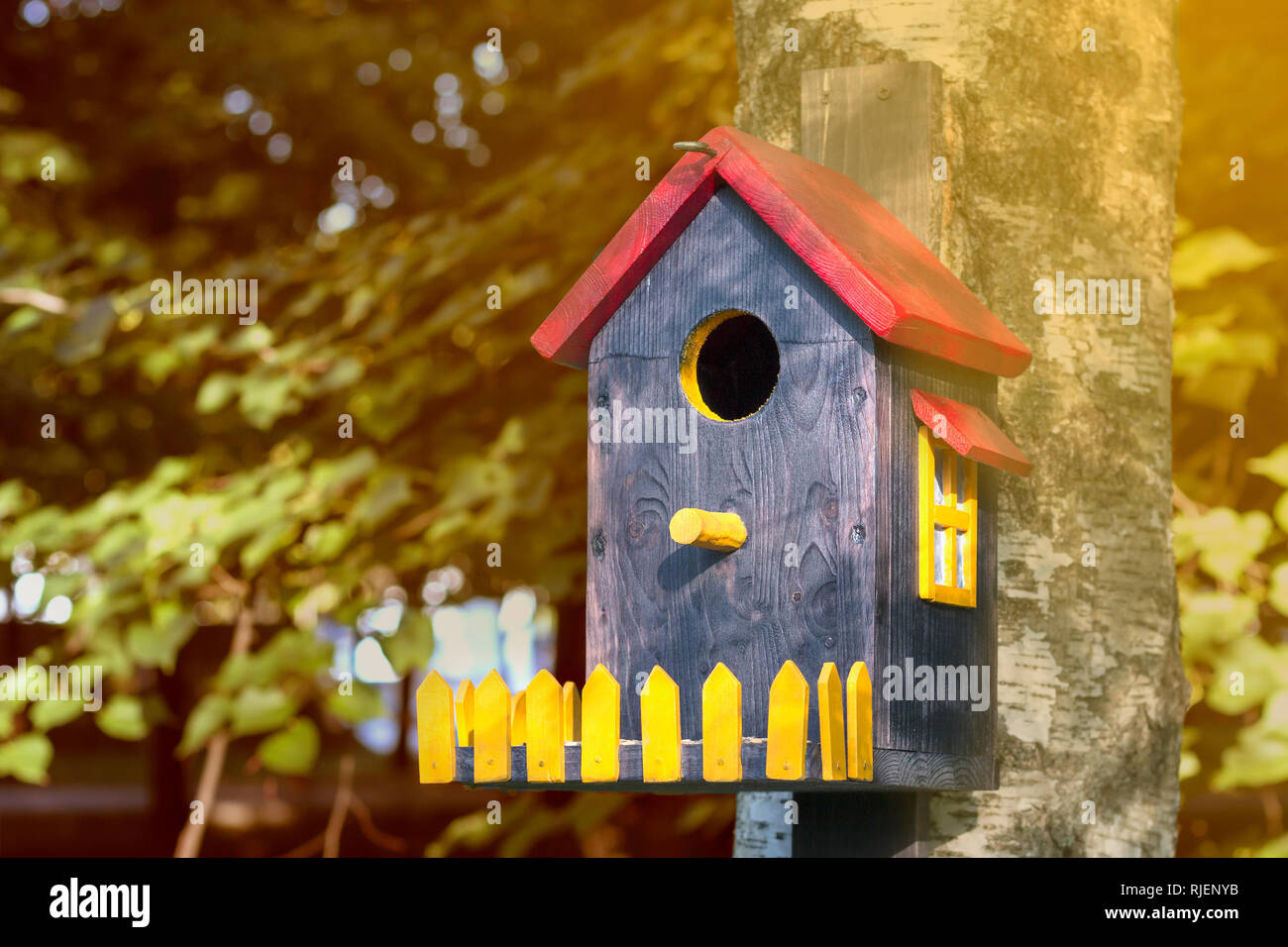 Maison d'oiseau coloré avec une fenêtre et une clôture sur le soleil en gros plan de bouleau Banque D'Images