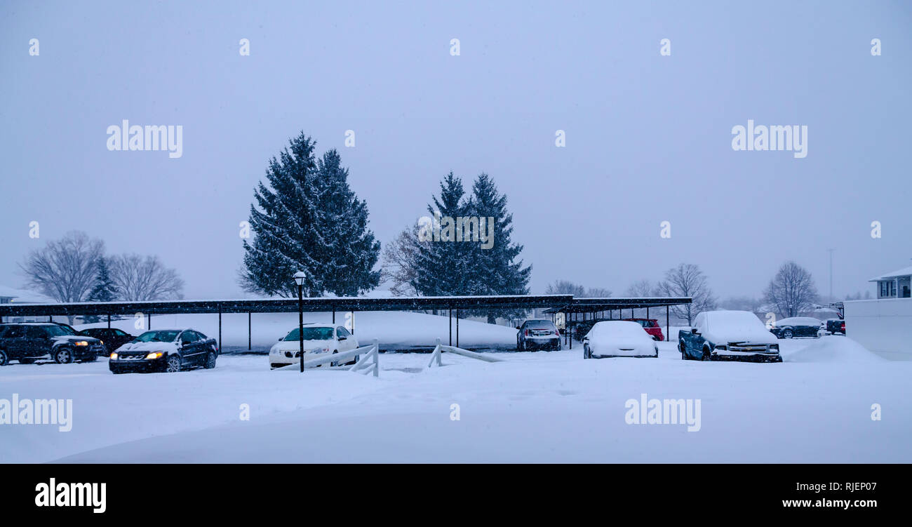 Une faible prise de vue au grand angle de voitures, de pins, de cour et d'un complexe couvert dans un épais manteau de neige. Tempête de février début dans le Michigan, USA. Banque D'Images