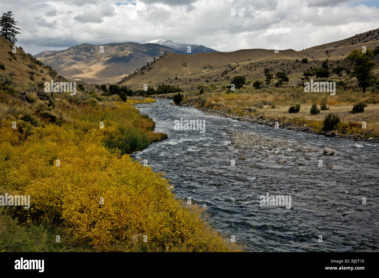 WY03195-00...WYOMING - la couleur de l'automne le long de la rivière à partir de l'ébullition Gardiner River Trail dans le Parc National de Yellowstone. Banque D'Images WY03195-00...WYOMING - la couleur de l'automne le long de la rivière à partir de l'ébullition Gardiner River Trail dans le Parc National de Yellowstone. Banque D'Images