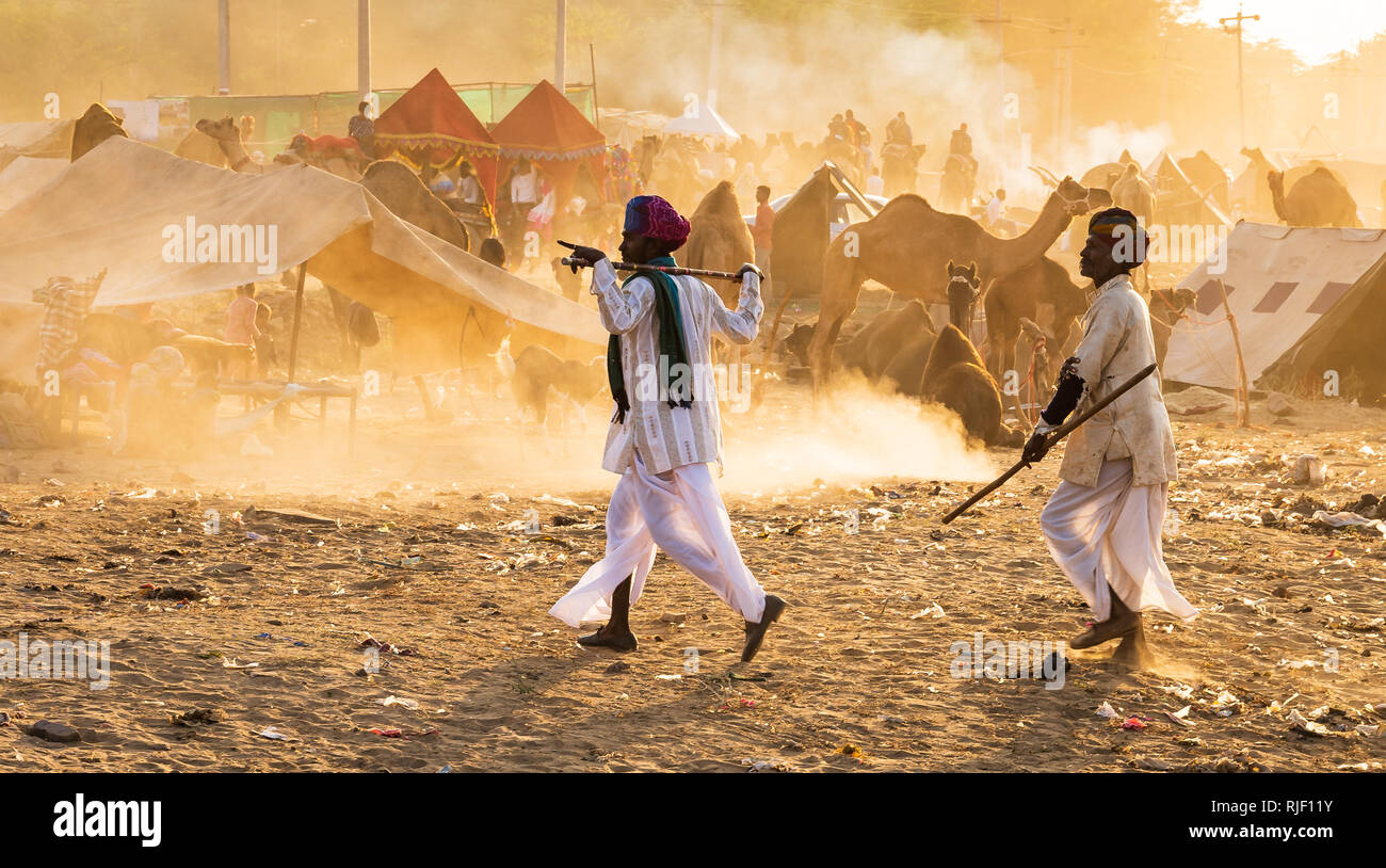 Le Pushkar Fair aka Pushkar Camel ou juste localement comme Kartik Mela ou Pushkar Mela ka est un rapport annuel de l'élevage de plusieurs jours dans la ville de Pushkar Banque D'Images