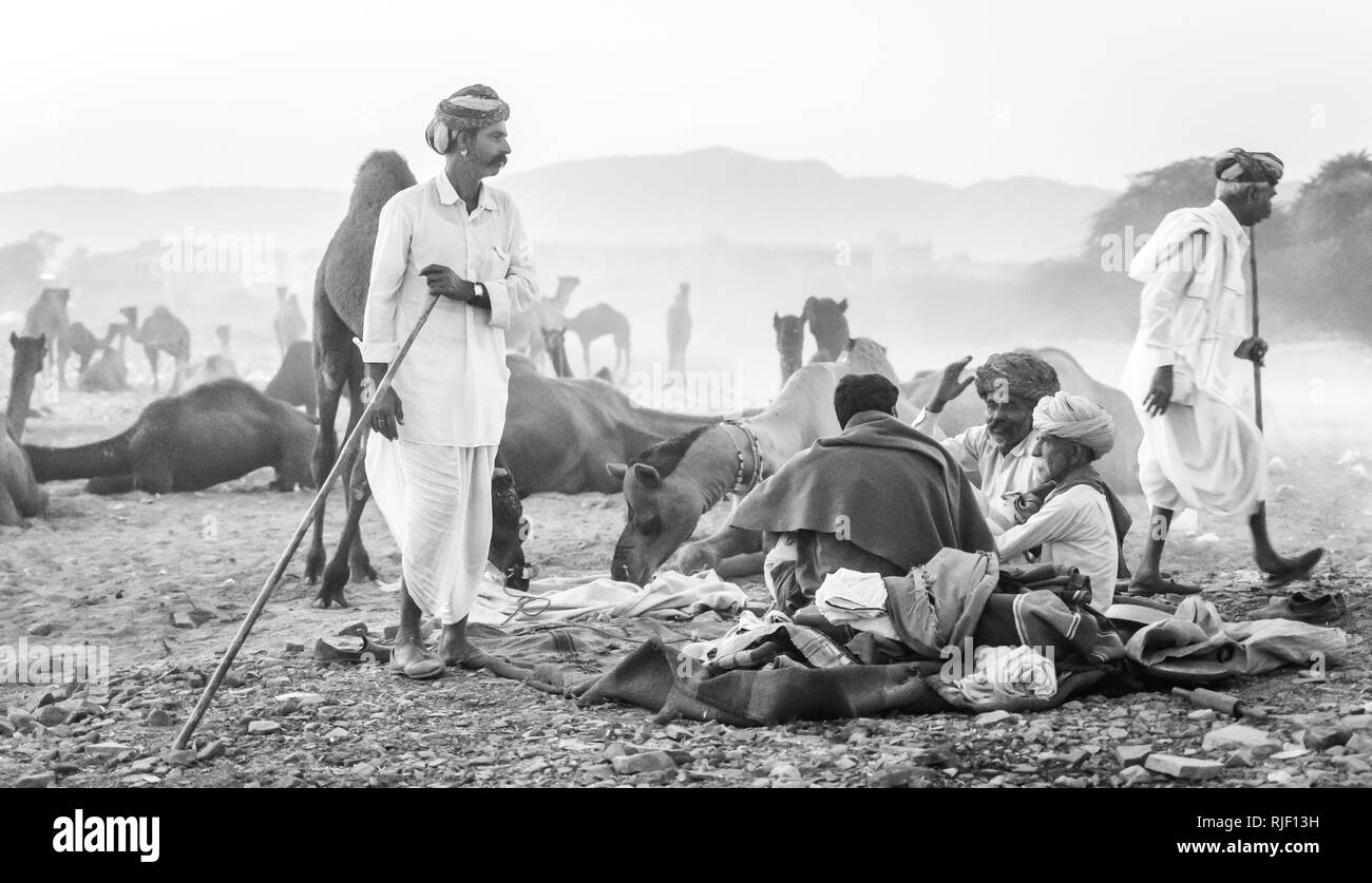 Le Pushkar Fair aka Pushkar Camel ou juste localement comme Kartik Mela ou Pushkar Mela ka est un rapport annuel de l'élevage de plusieurs jours dans la ville de Pushkar Banque D'Images