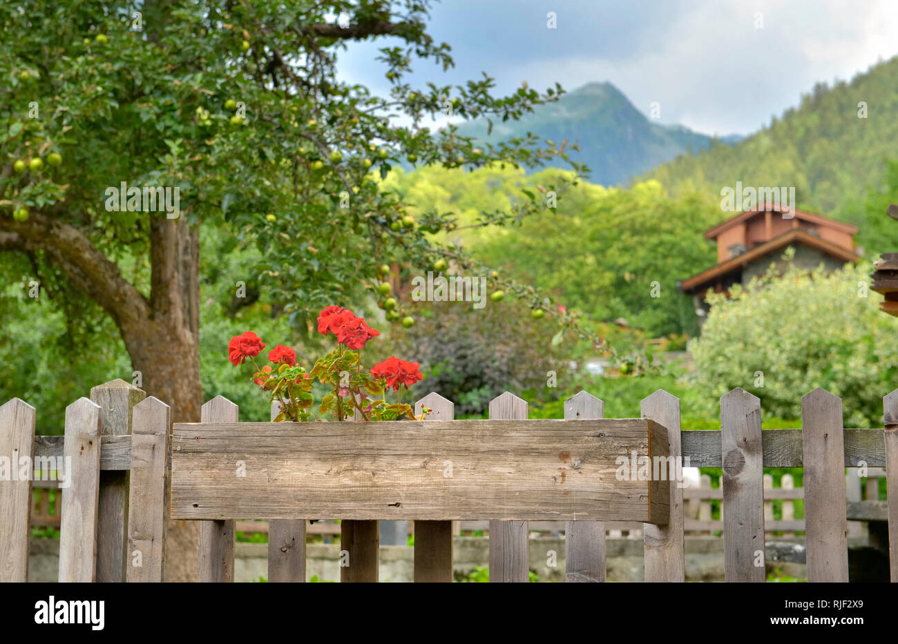 Clôture en bois en face d'un jardin de verdure et collines en cottage en bois Banque D'Images