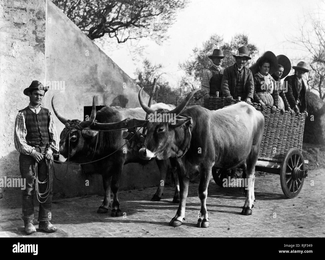 Les agriculteurs, Sienne, Toscane, Italie 1910 1920 Banque D'Images
