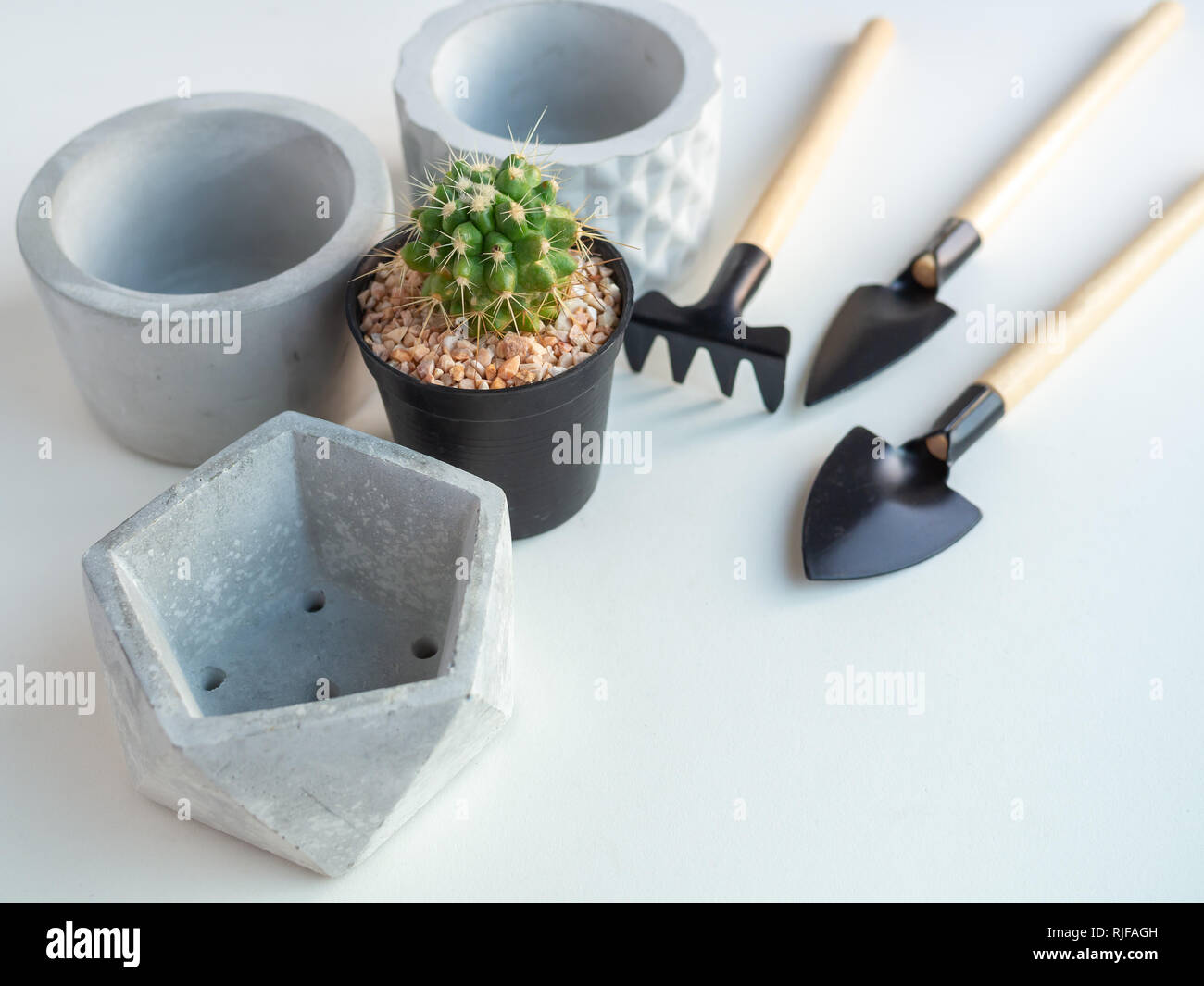 Cactus en pot en plastique noir avec béton géométrique vide des jardinières et jeu d'outils de jardin sur fond blanc avec l'espace, de l'agriculture copie concept. Banque D'Images