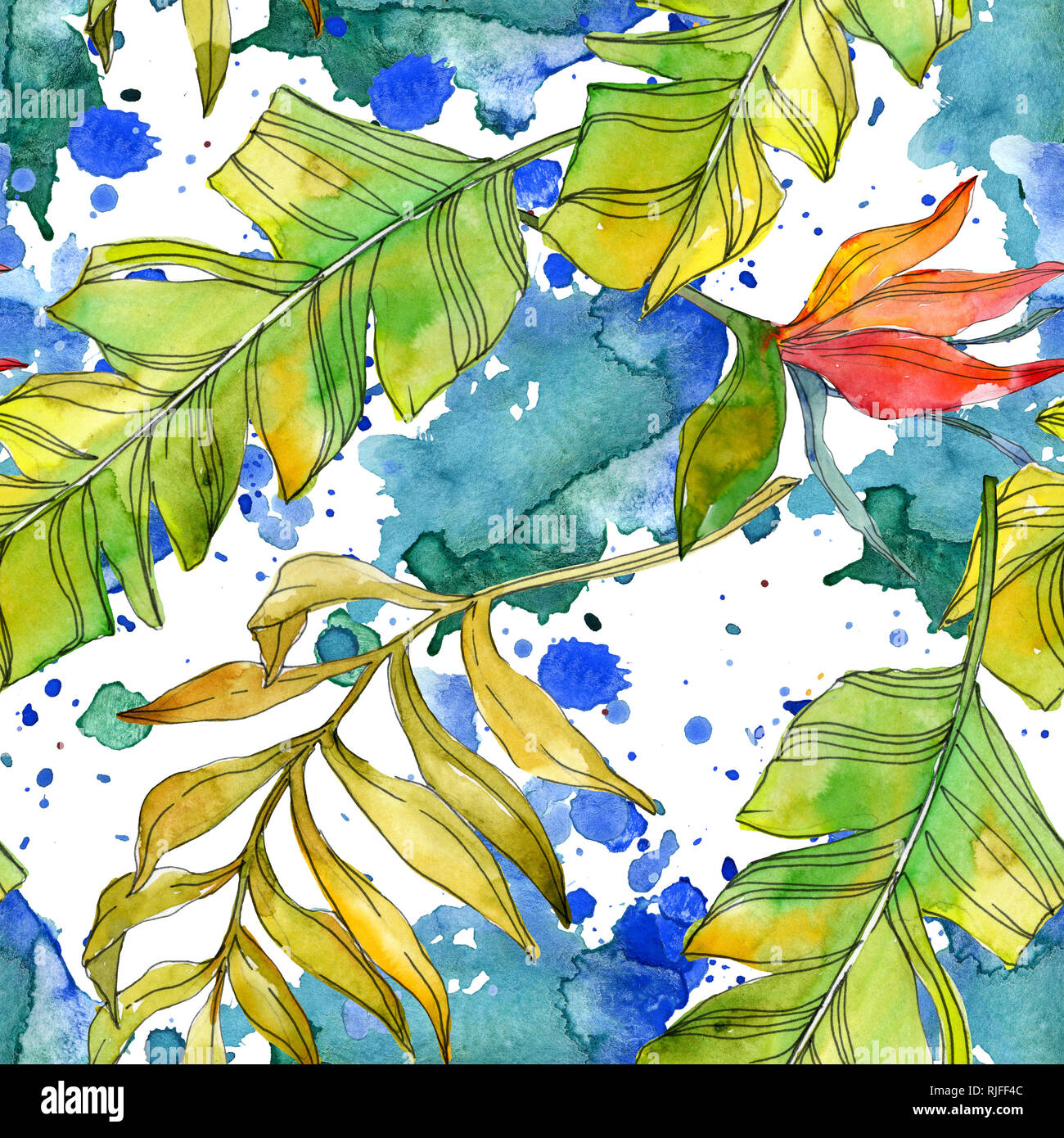 Floral fleurs botanique tropicale. Des feuilles des plantes exotiques isolés. Illustration à l'aquarelle. Aquarelle Dessin aquarelle de mode. Fond transparent Banque D'Images