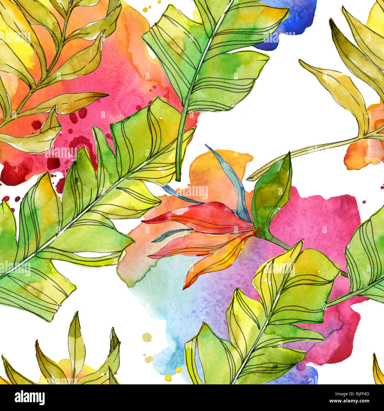 Floral fleurs botanique tropicale. Des feuilles des plantes exotiques isolés. Illustration à l'aquarelle. Aquarelle Dessin aquarelle de mode. Fond transparent Banque D'Images