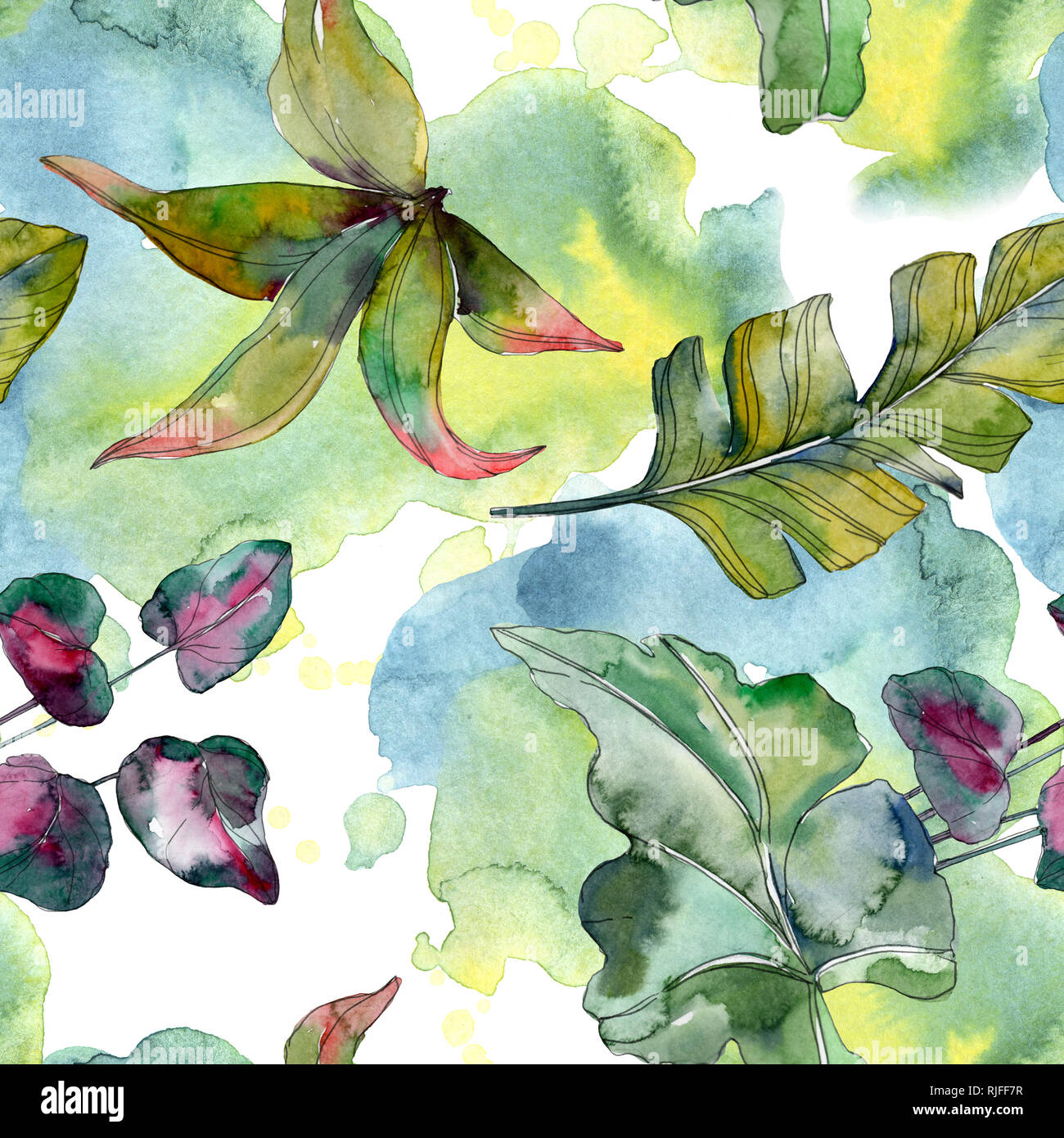 Botanique plante feuille verte. Hawaiian tropical exotique de l'été. Illustration à l'aquarelle. Aquarelle Dessin aquarelle mode isolé. Bac transparent Banque D'Images