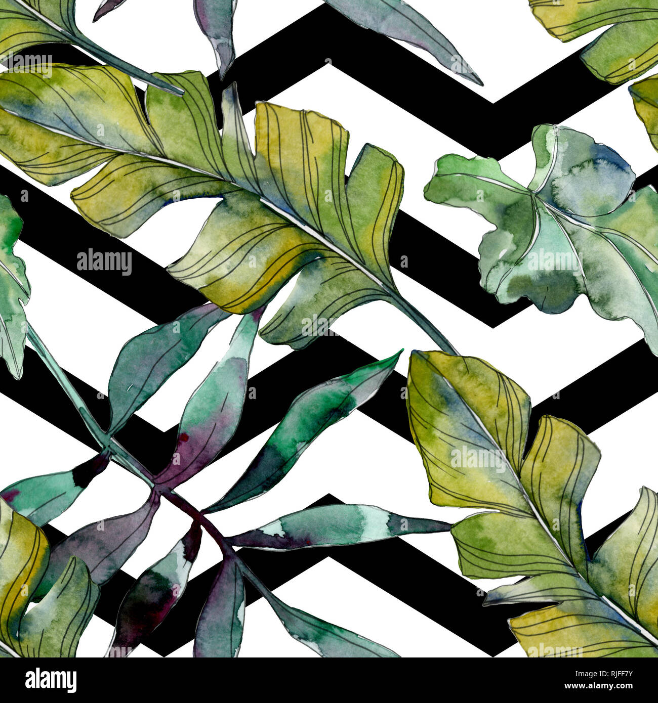 Botanique plante feuille verte. Hawaiian tropical exotique de l'été. Illustration à l'aquarelle. Aquarelle Dessin aquarelle mode isolé. Bac transparent Banque D'Images