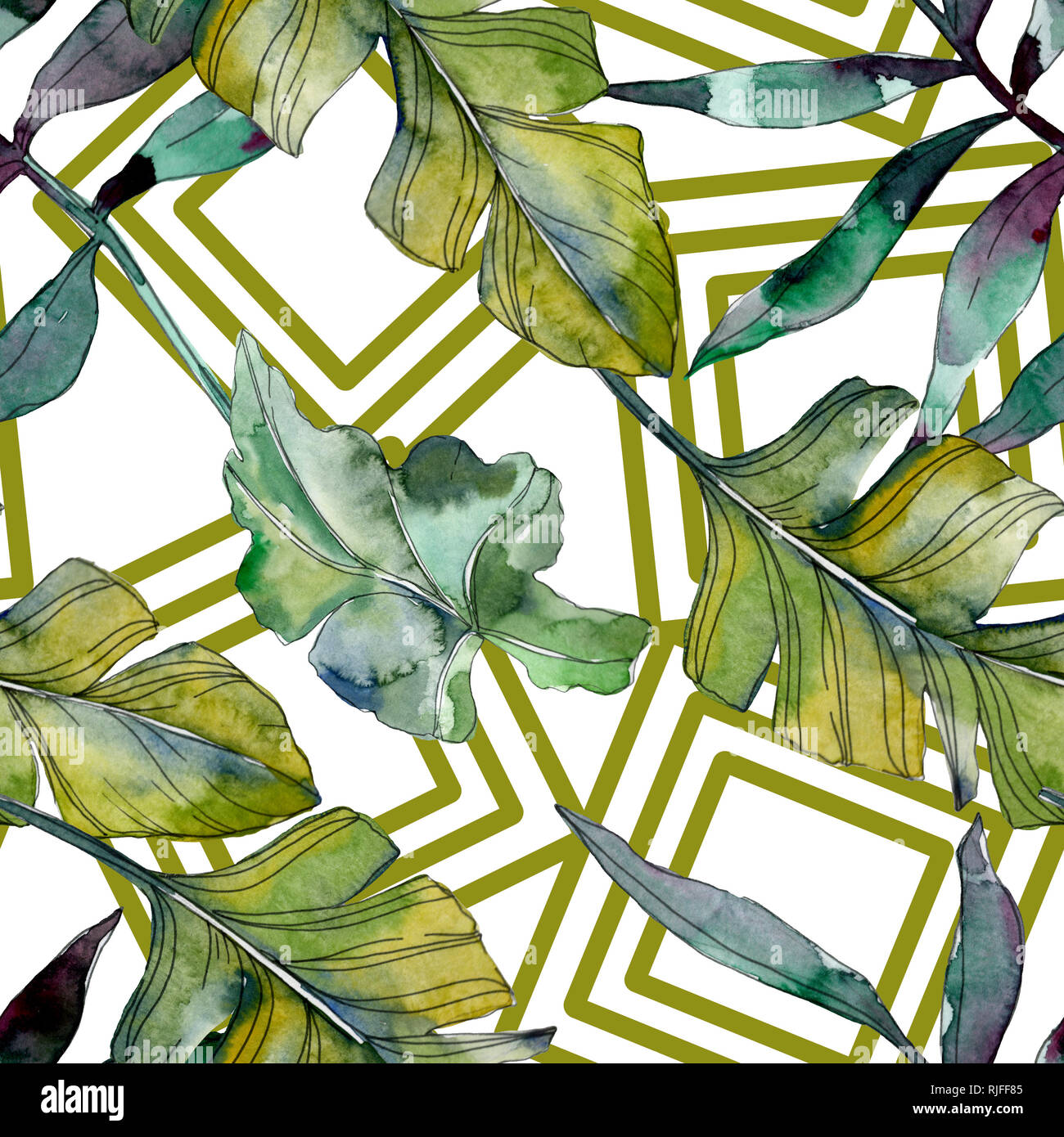 Botanique plante feuille verte. Hawaiian tropical exotique de l'été. Illustration à l'aquarelle. Aquarelle Dessin aquarelle mode isolé. Bac transparent Banque D'Images