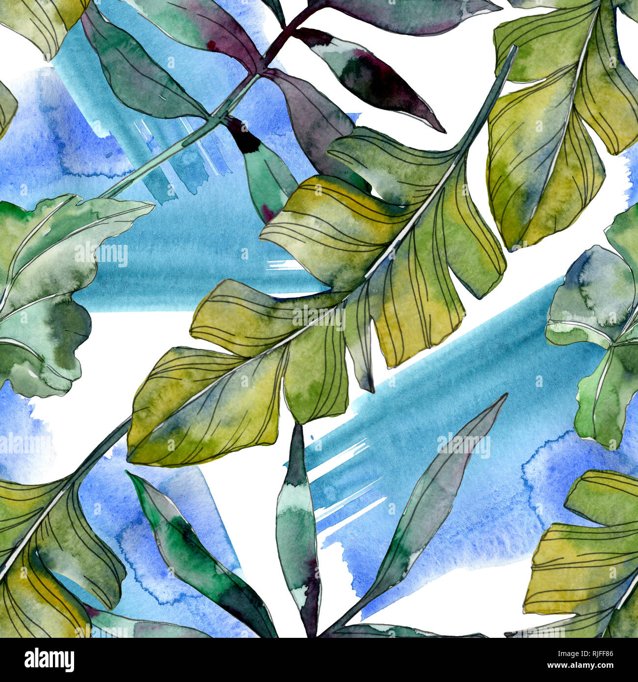 Botanique plante feuille verte. Hawaiian tropical exotique de l'été. Illustration à l'aquarelle. Aquarelle Dessin aquarelle mode isolé. Bac transparent Banque D'Images