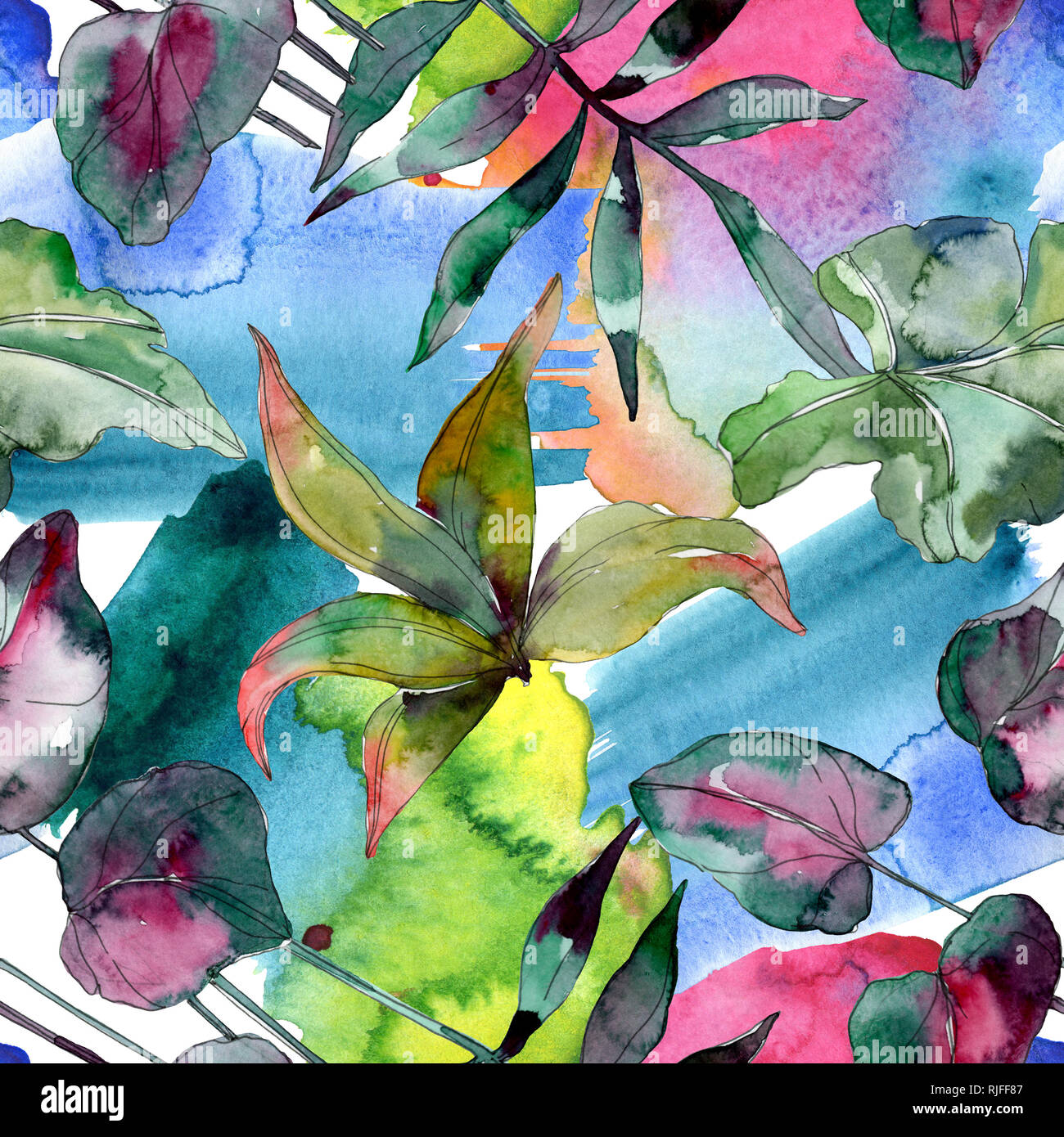 Botanique plante feuille verte. Hawaiian tropical exotique de l'été. Illustration à l'aquarelle. Aquarelle Dessin aquarelle mode isolé. Bac transparent Banque D'Images