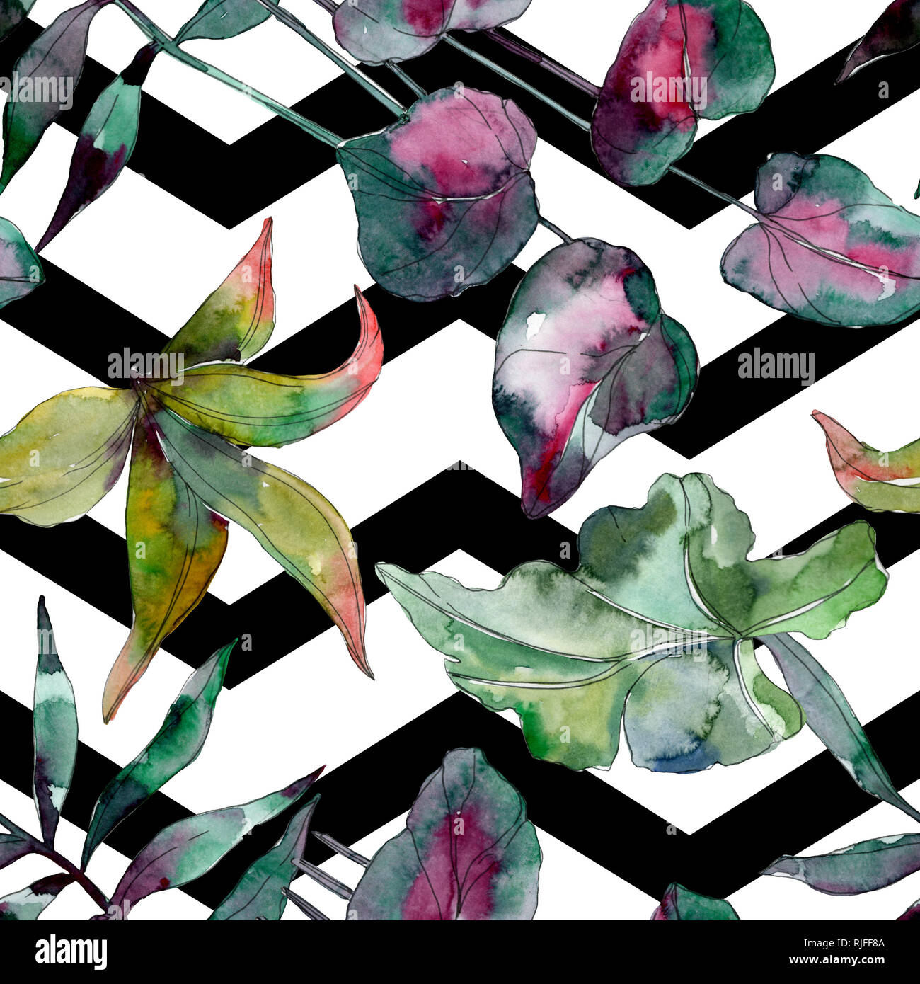 Botanique plante feuille verte. Hawaiian tropical exotique de l'été. Illustration à l'aquarelle. Aquarelle Dessin aquarelle mode isolé. Bac transparent Banque D'Images