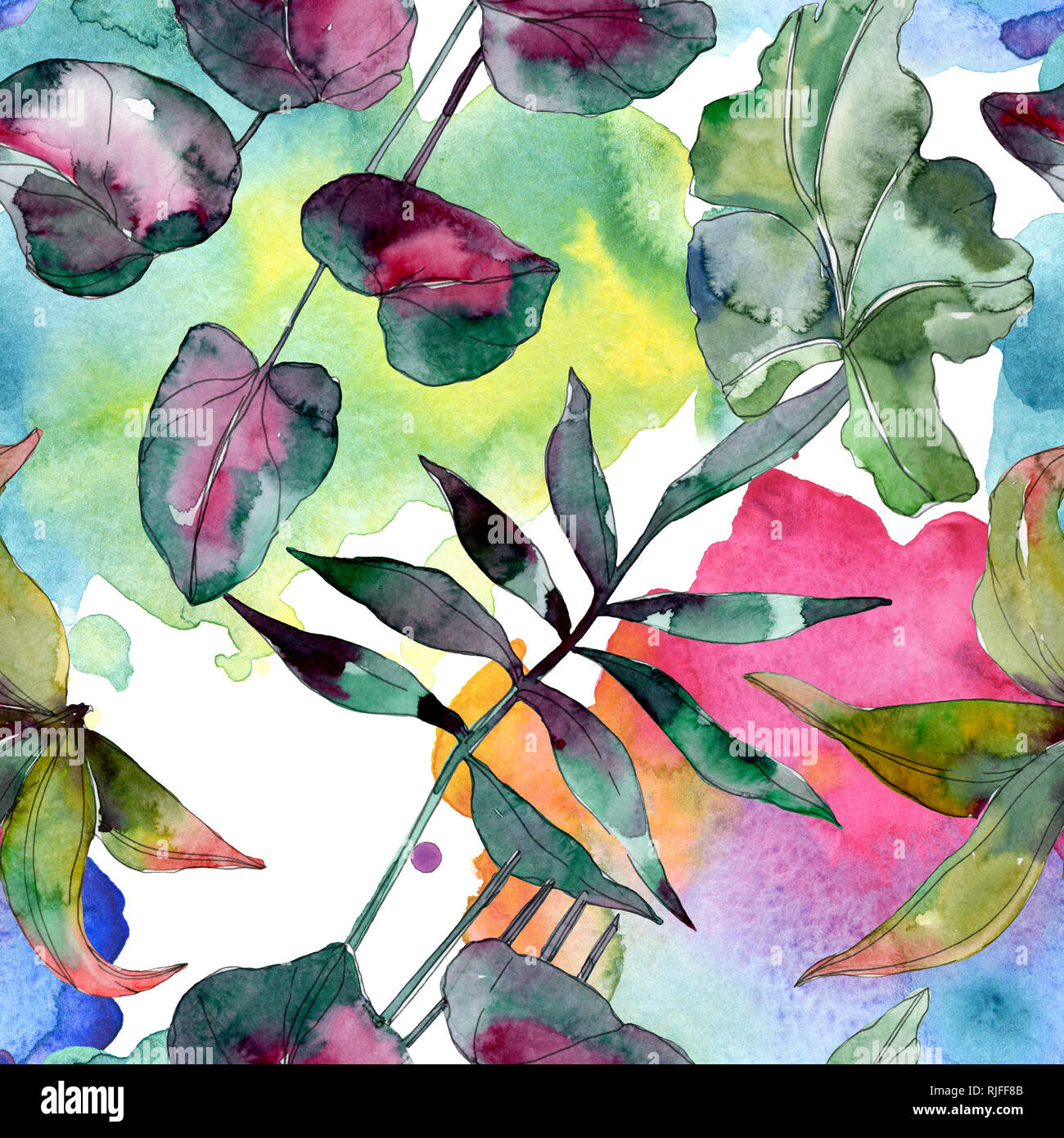 Botanique plante feuille verte. Hawaiian tropical exotique de l'été. Illustration à l'aquarelle. Aquarelle Dessin aquarelle mode isolé. Bac transparent Banque D'Images