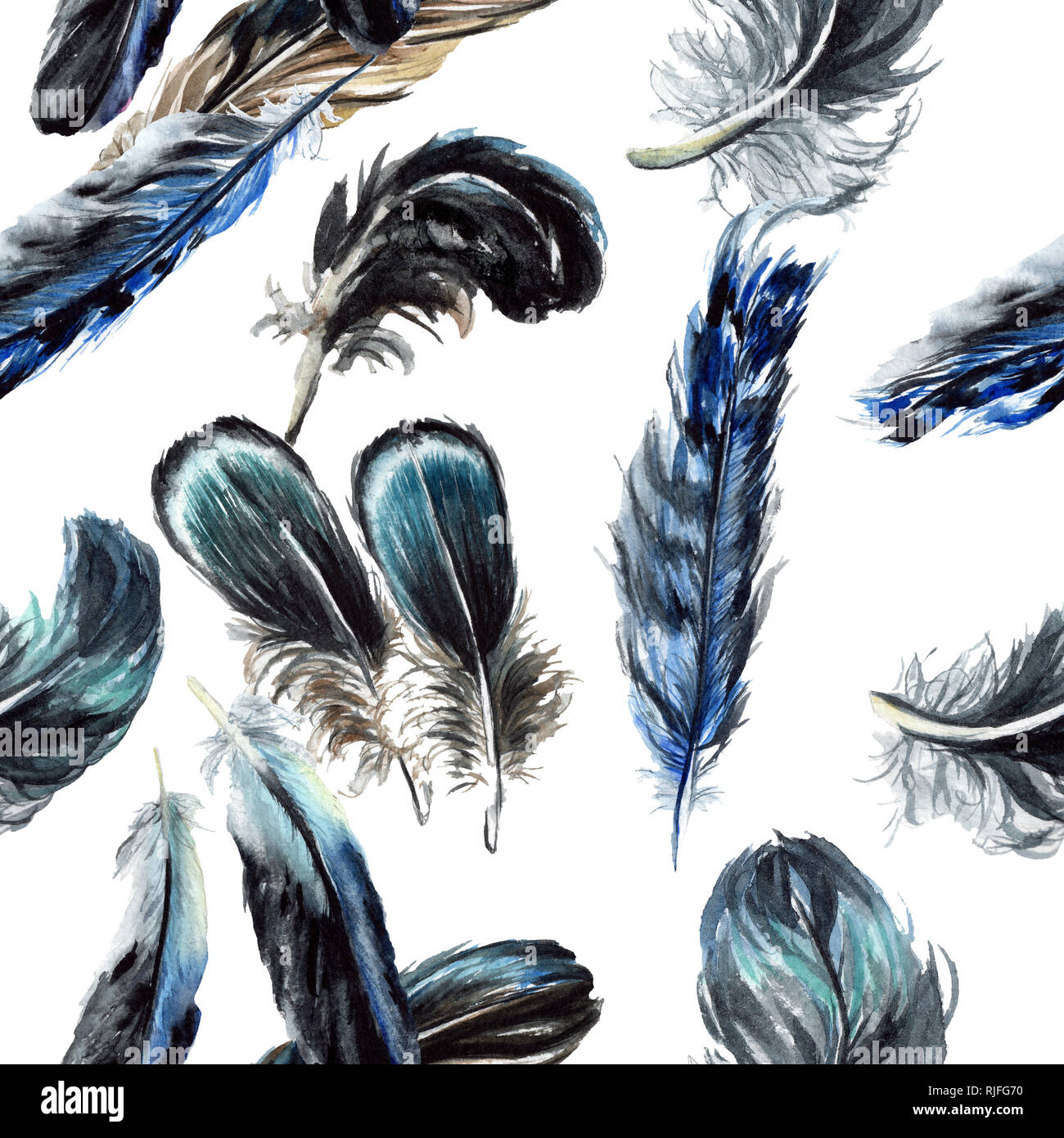 Bleu Noir Plume Doiseau De Wing Isolés Contexte Aquarelle