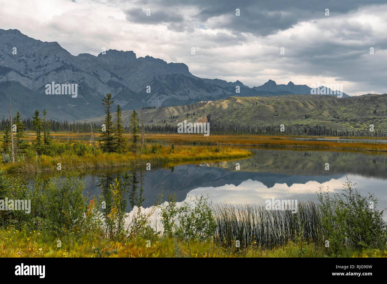 Paysage vallonné reflétée dans un lac, à l'automne, le lac Talbot, Jasper National Park, British Columbia, Canada Banque D'Images