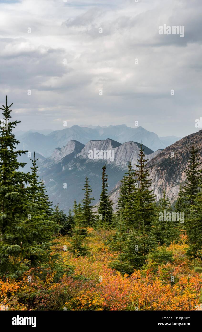 Substitution de montagnes, Ashlar Ridge, à l'automne, les sources thermales Miette, Jasper National Park, British Columbia, Canada Banque D'Images