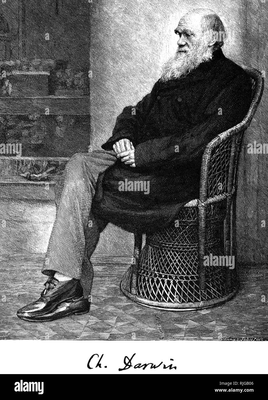 CHARLES DARWIN (18-9-1882) naturaliste anglais vers 1865 Banque D'Images