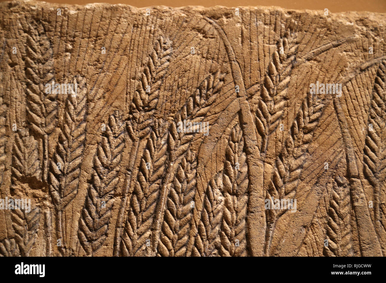 Fragment de relief représentant des scènes de la nature. 18 dynastie, règne d'Akhénaton, ca. 1353-1336 BC. Calcaire peint. Banque D'Images