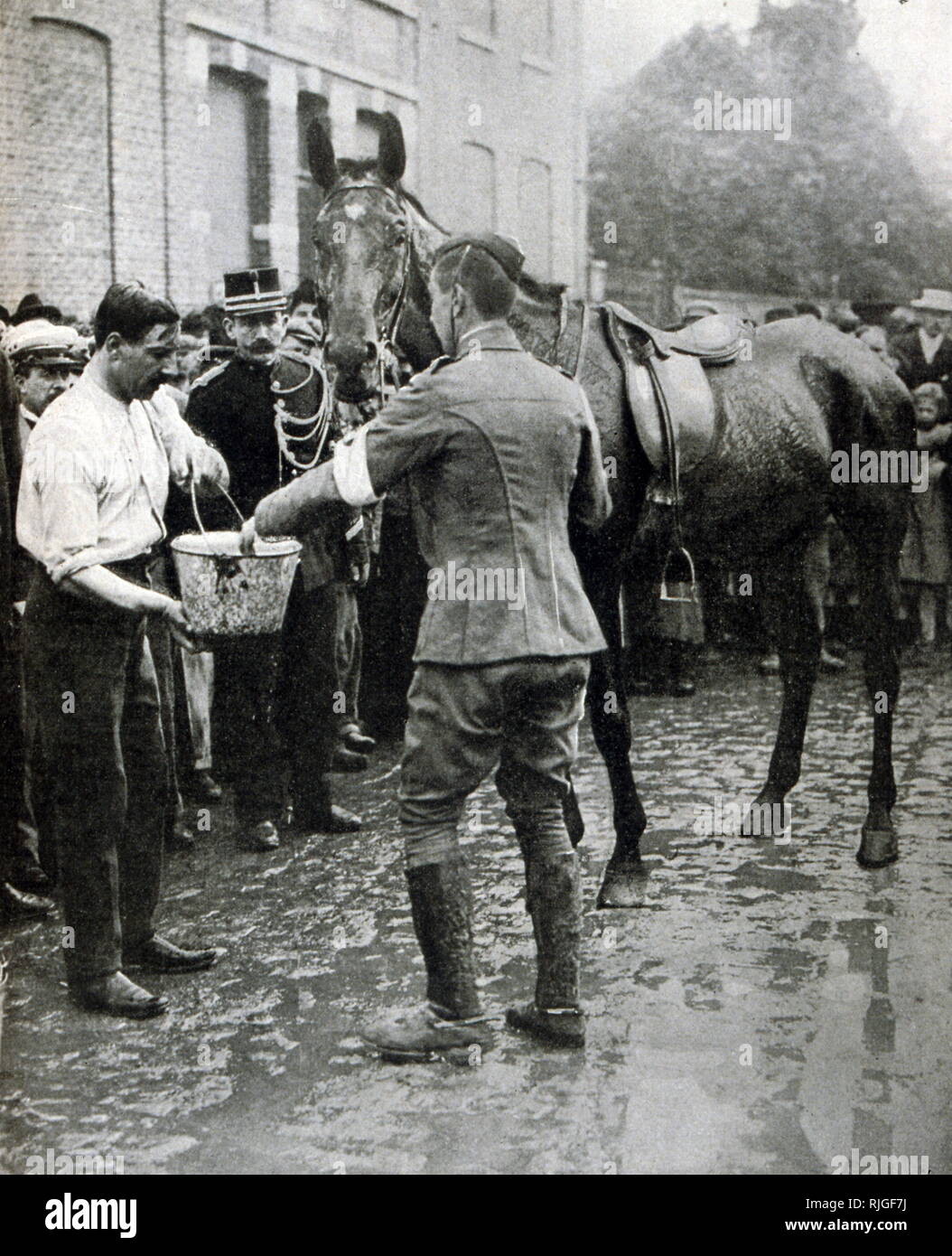 Cheval et cavalier militaire anglais arrêter pour se nourrir et se reposer au cours d'une compétition en Belgique 1902 Banque D'Images