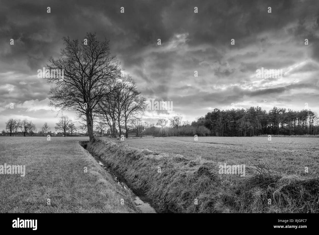 Paysage rural, champ d'arbres à proximité d'un fossé et le coucher du soleil avec des nuages, Weelde, Flandre, Belgique. Banque D'Images