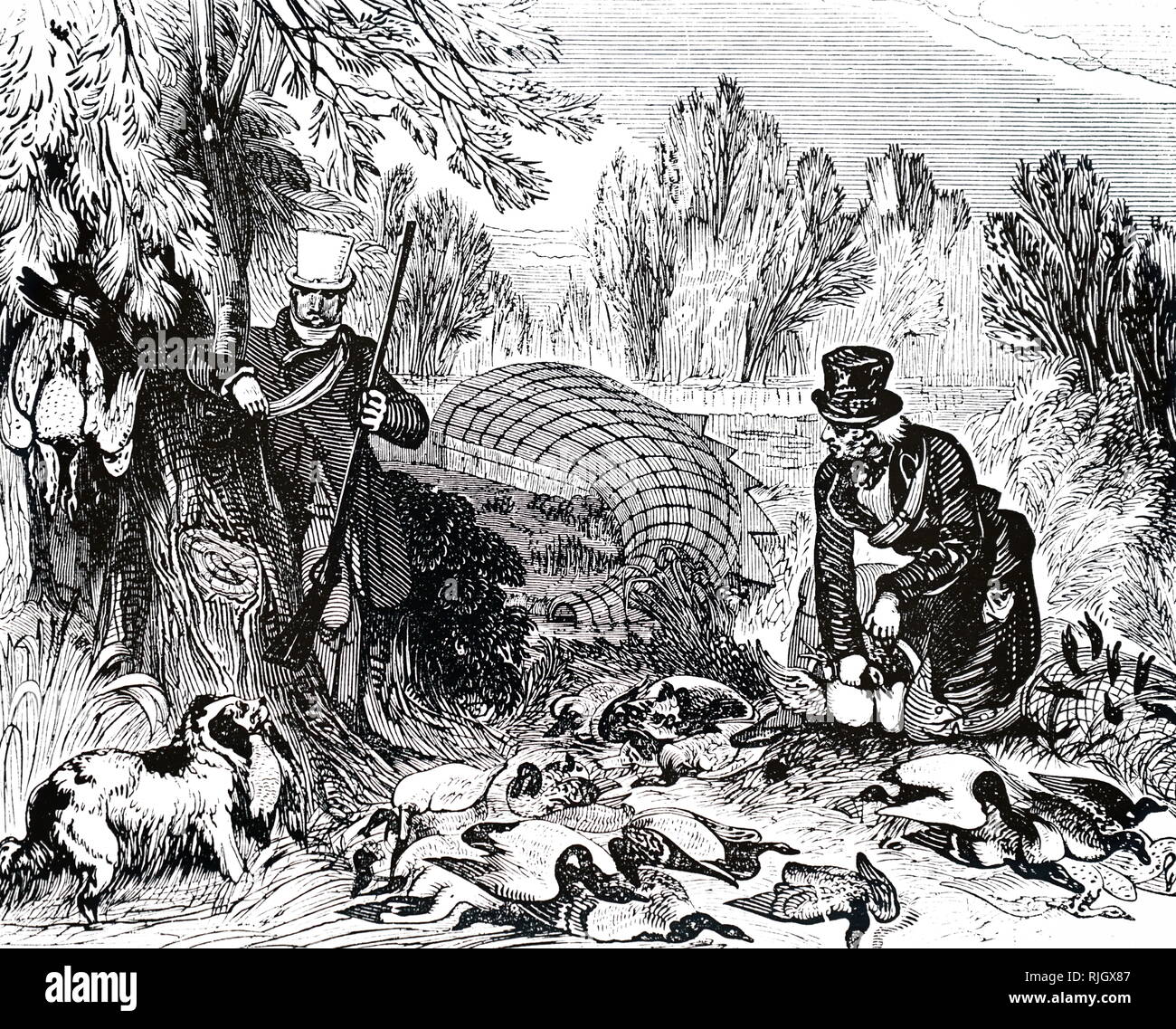 Une gravure illustrant le leurre de canard dans le Lincolnshire fens : l'entrée du tunnel net. Canard sauvage serait attirée dans la bouche d'un tunnel creusé spécialement net couvrant un fossé curviligne ou tuyau. Un chien a été formé pour conduire les oiseaux à l'extrémité où le net est réduit et où ils ont été capturés et le cou tordu. Le leurre canard était une pratique commune dans le Lincolnshire fens et sur les Norfolk Broads, et la majorité des oiseaux ont été envoyés à la marché de Londres. En date du 19e siècle Banque D'Images