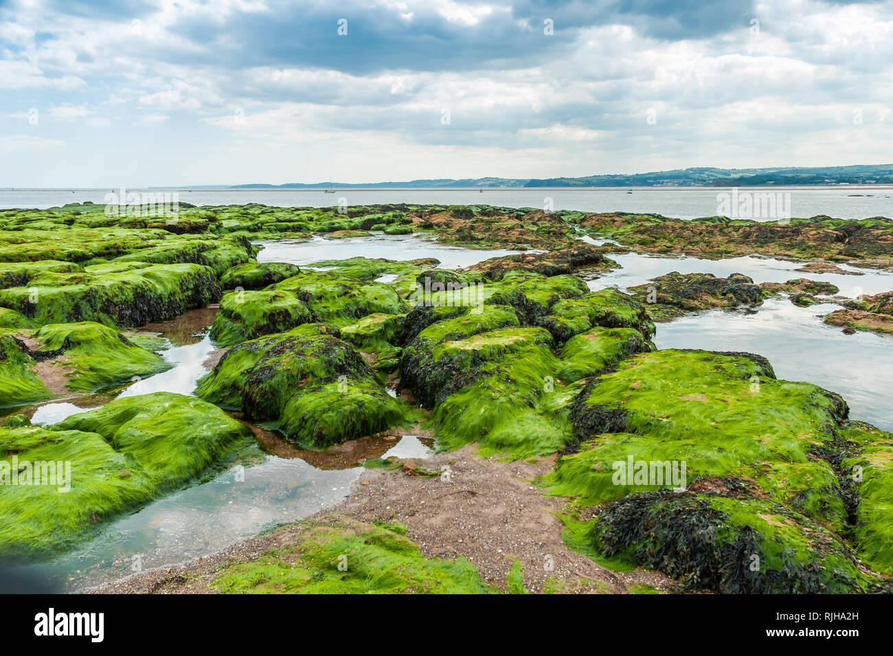 Lorsque la marée se retire sur Exmouth beach cet incroyable groupe de roches et les piscines sont à découvert. Banque D'Images