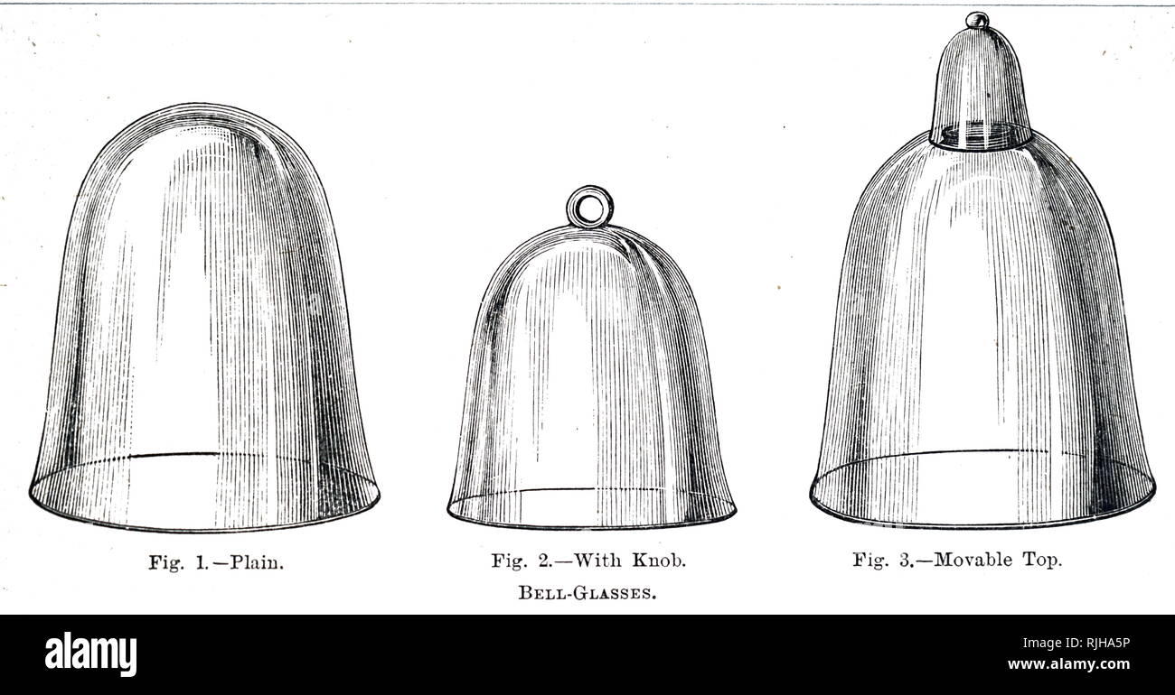 Une gravure représentant différentes cloches cloche de verre, dont une avec  un meuble haut. En date du 20e siècle Photo Stock - Alamy