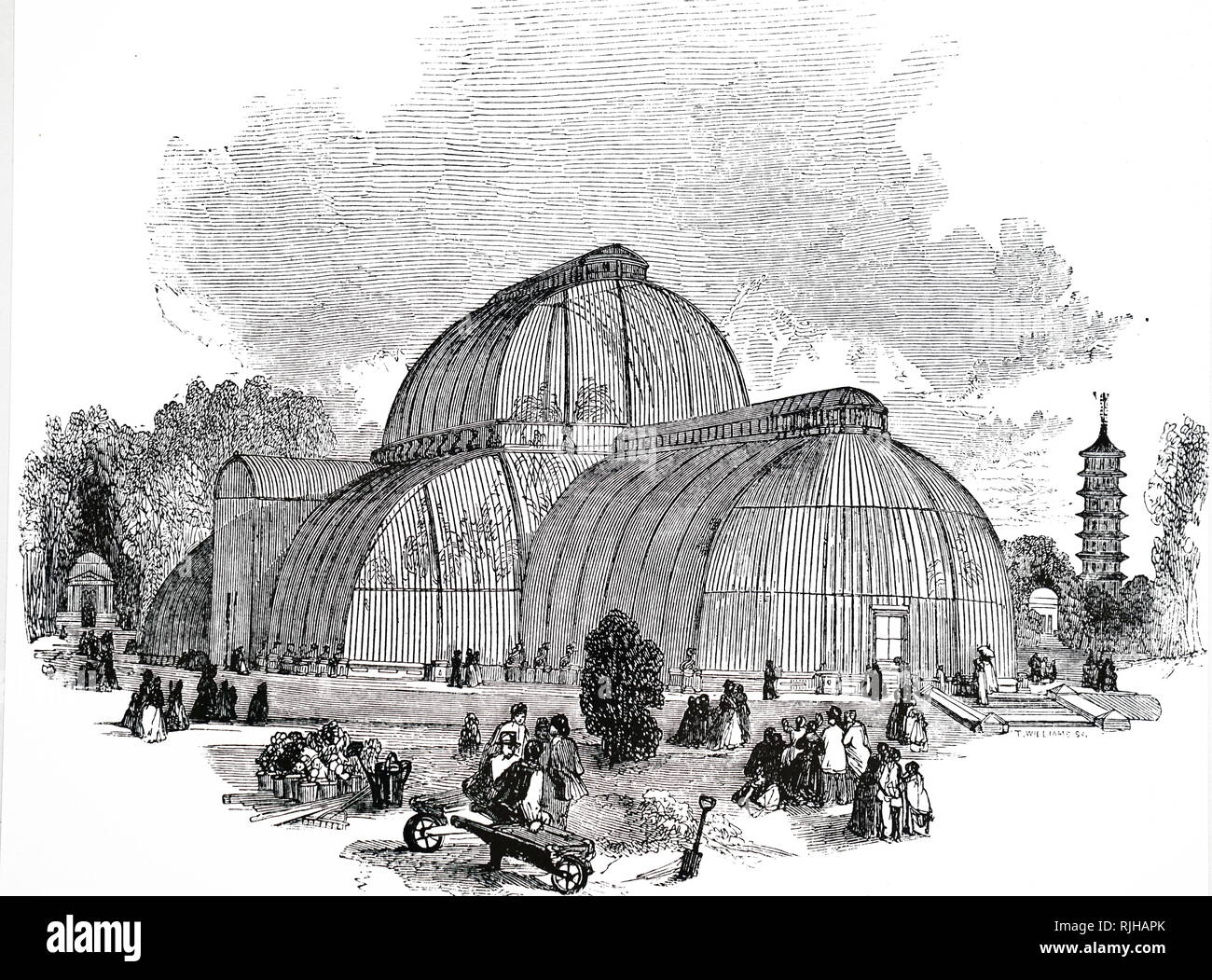 Une gravure illustrant la Palm House, une serre qui est spécialisé pour la culture des palmiers et autres plantes tropicales et subtropicales, Royal Botanical Gardens, Kew Gardens. En date du 19e siècle Banque D'Images