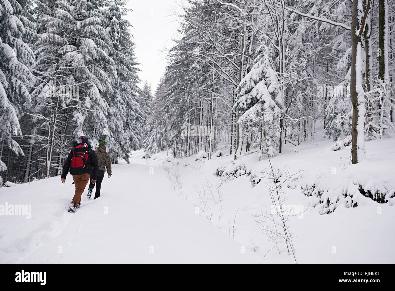 Couple hiking le long d'un sentier de la forêt couverte de neige en hiver Banque D'Images