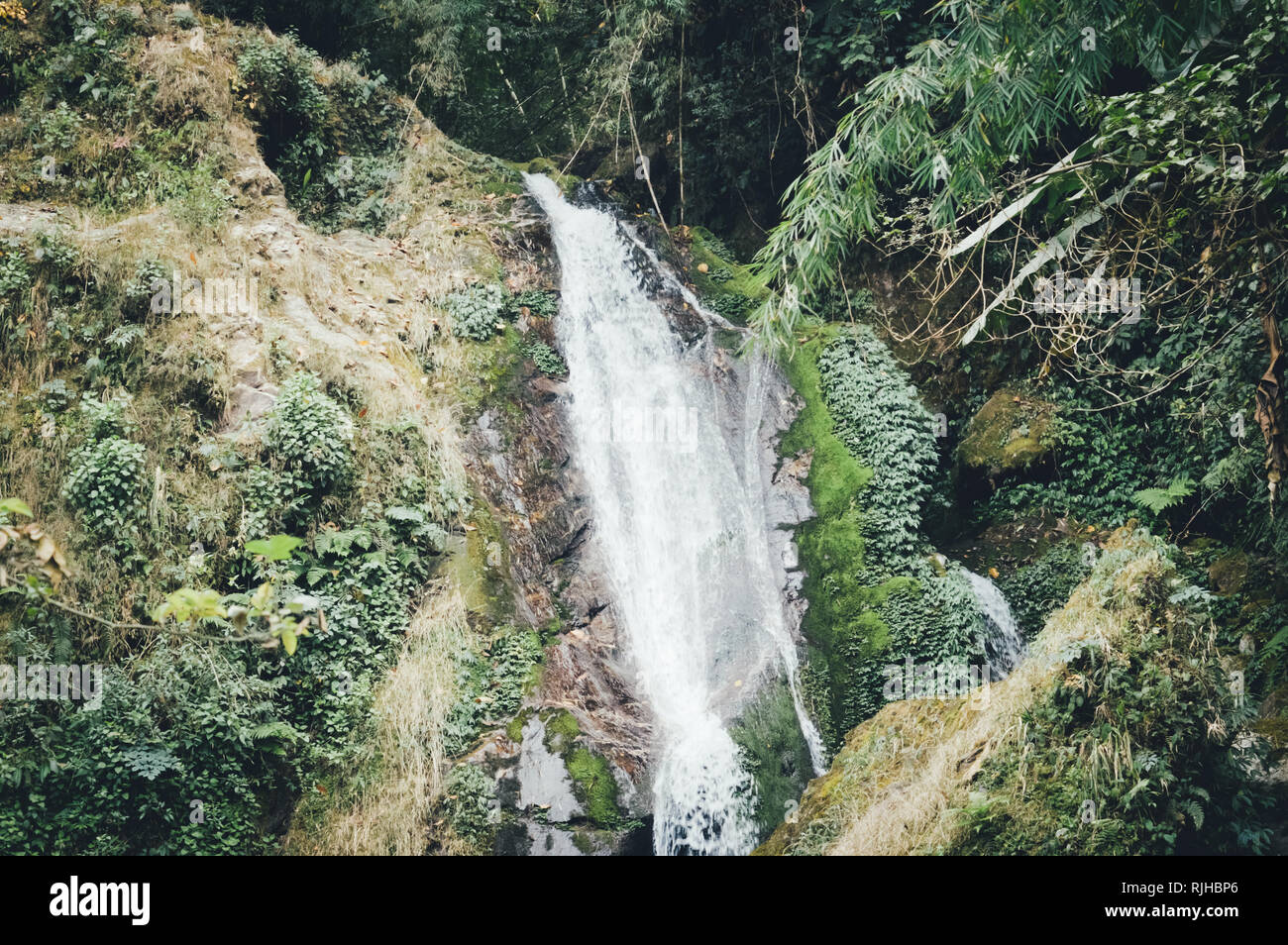 Butterfly Cascades ou chutes des sept Sœurs avec vue sur la montagne de près, sur place à Lachung Gangtok, Sikkim entouré de forêt profonde et de cascade. Banque D'Images