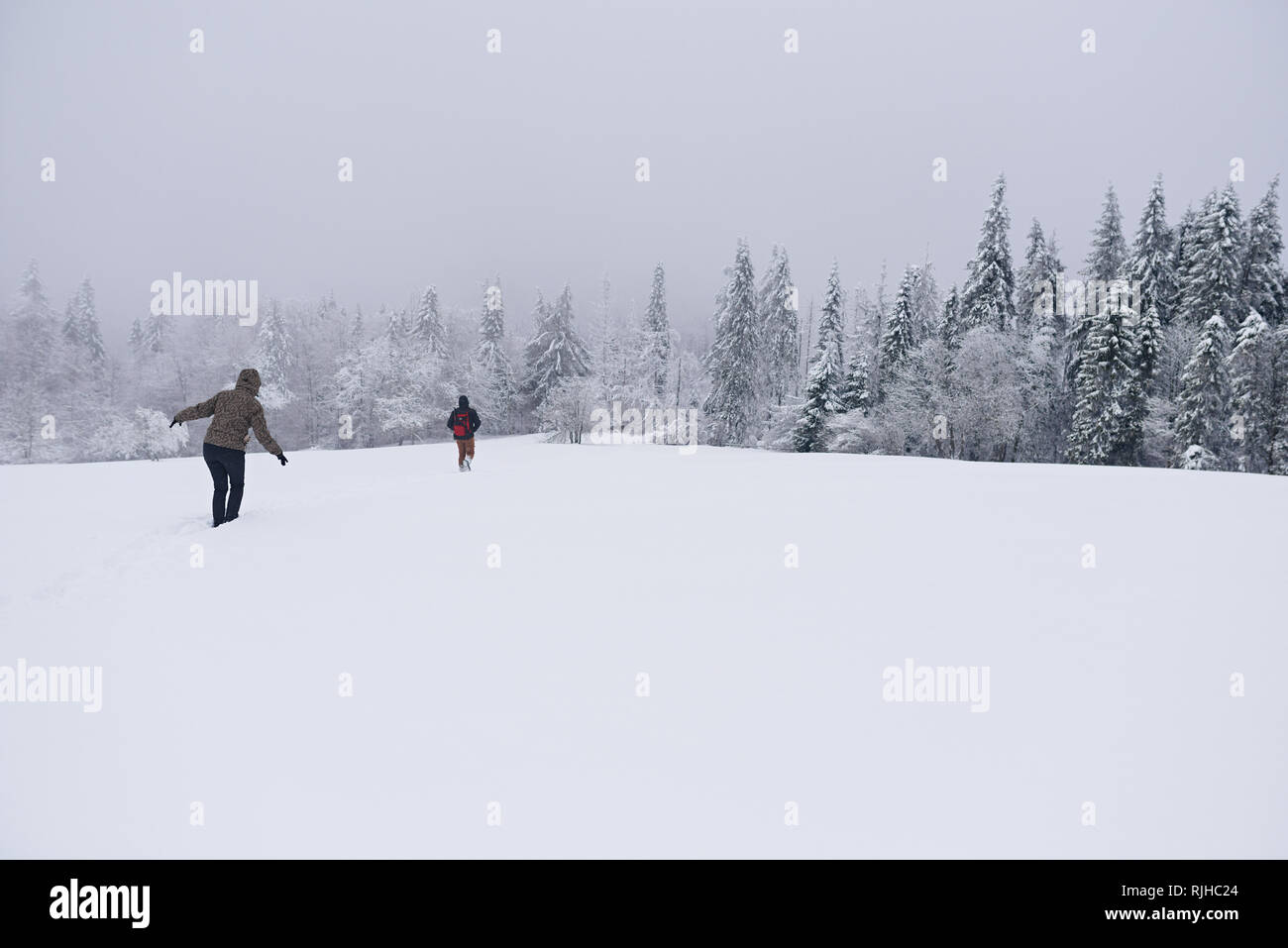 Couple hiking au moyen d'un défrichement de la forêt couverte de neige Banque D'Images