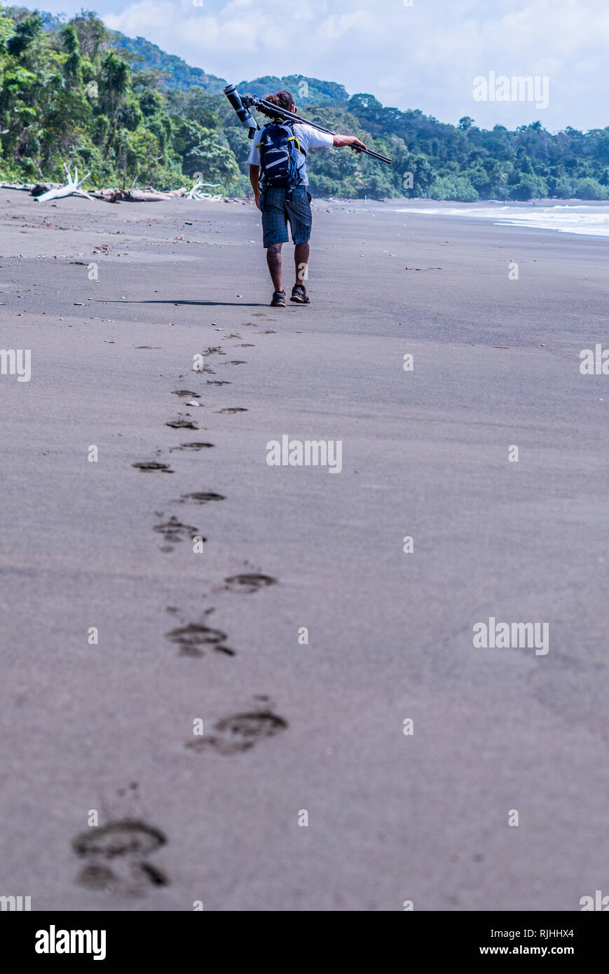 Une photo d'un guide portant un marche de lunettes en distance sur la belle plage de sable de la plage du Parc national Corcovado, Costa Rica Banque D'Images